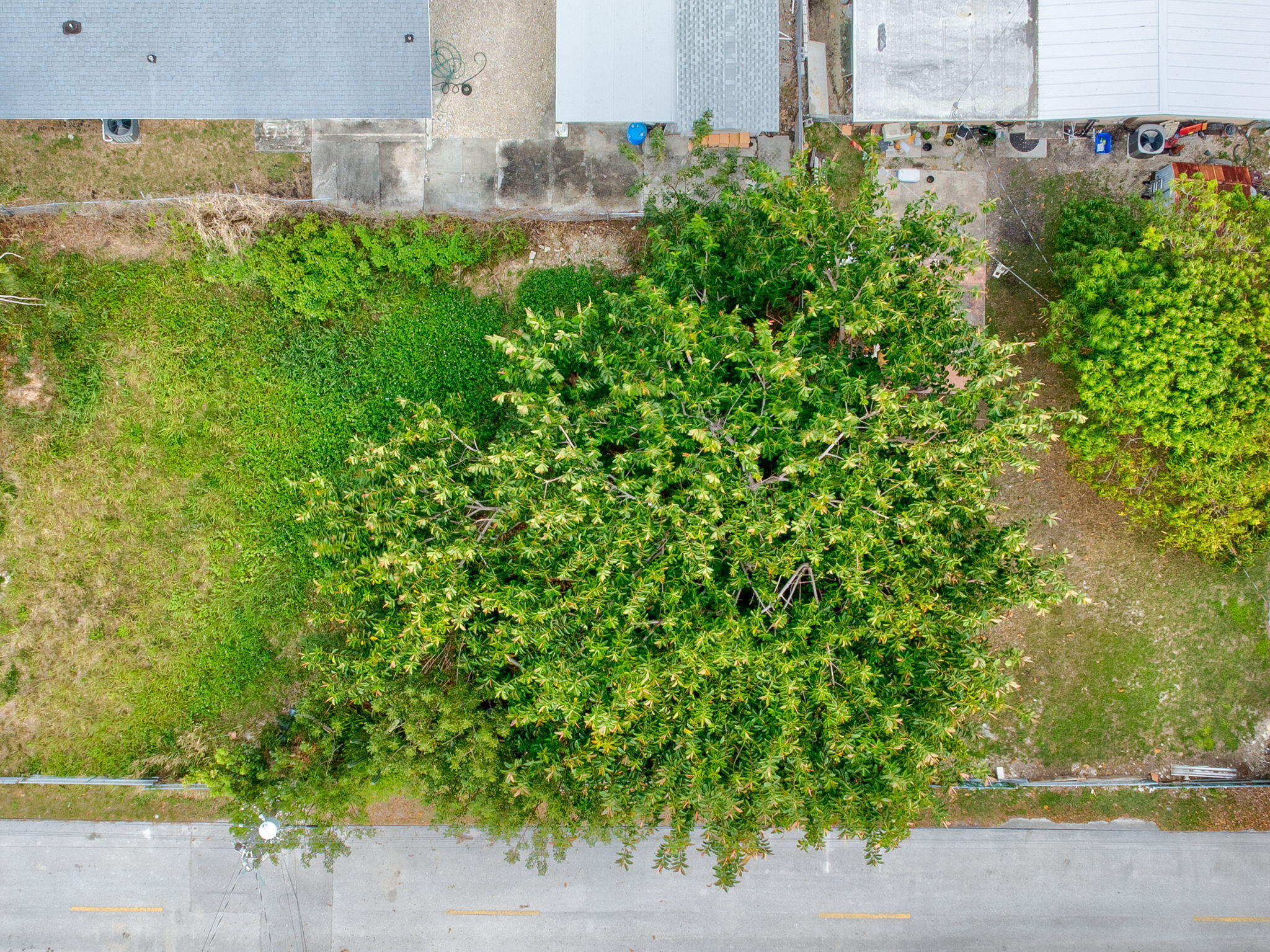 7 Palm Beach Drive Property Photo 3
