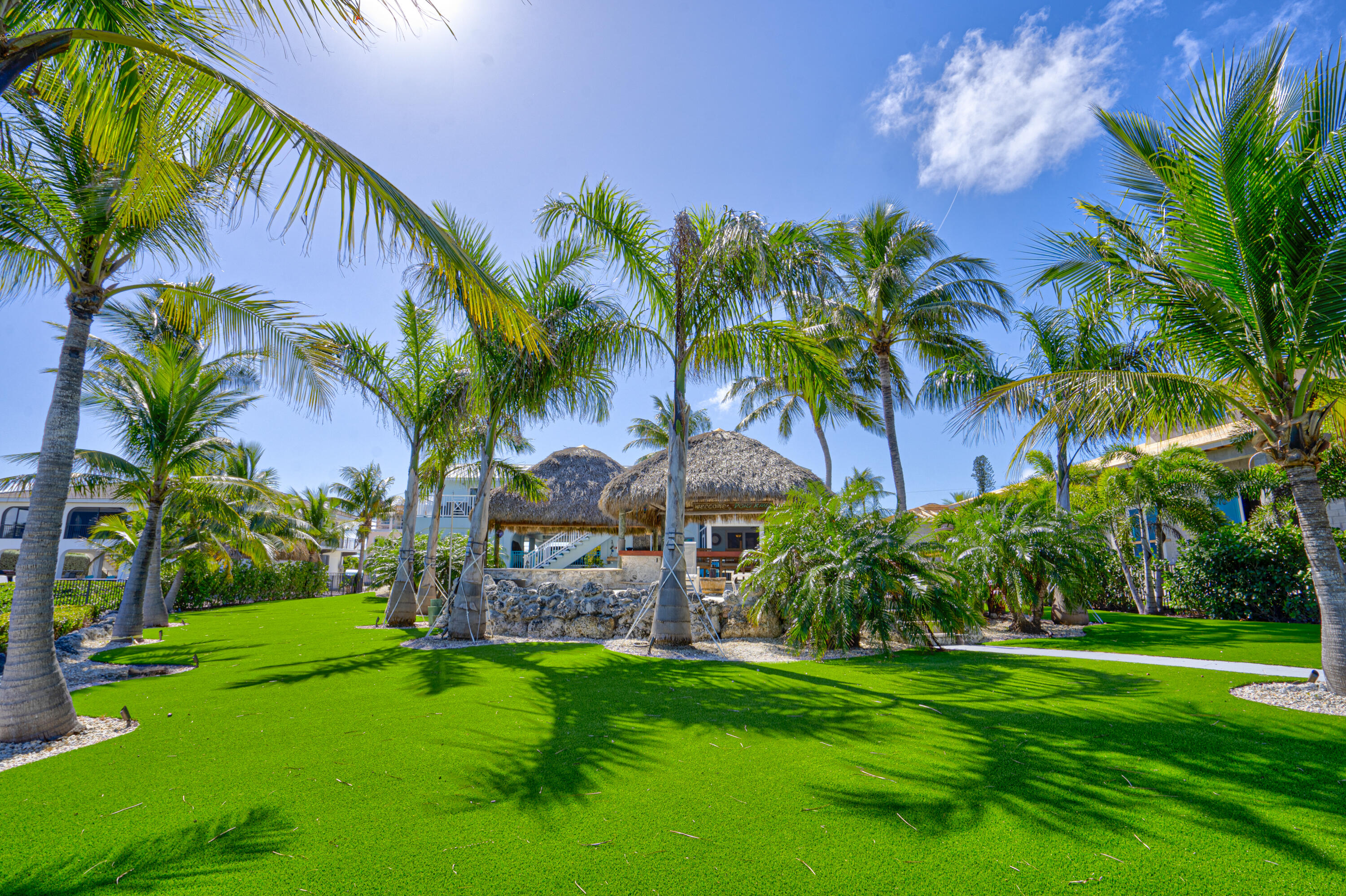 335 Calzada De Bougainvillea Property Photo 35