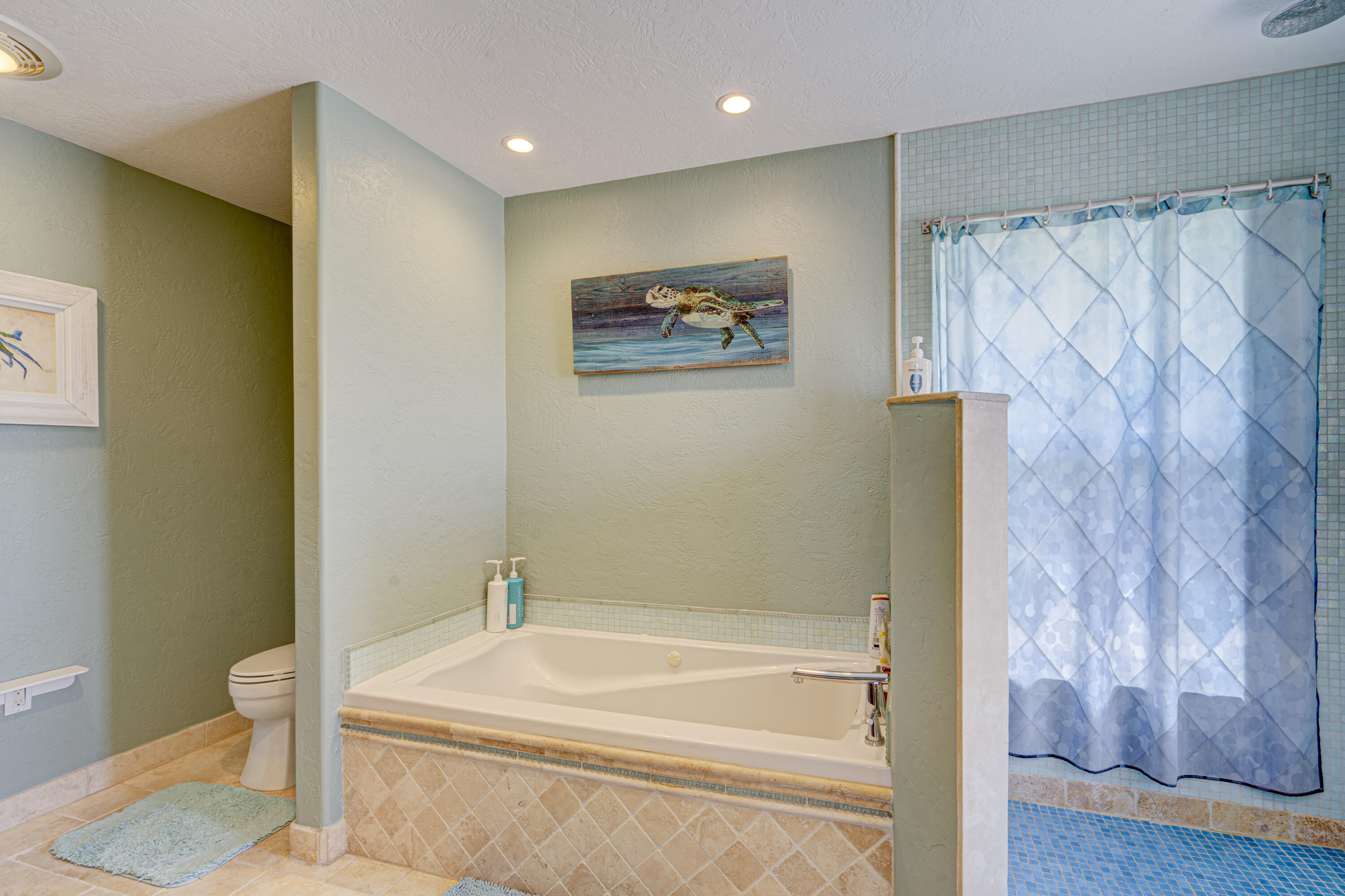 335 Calzada De Bougainvillea Property Photo 57