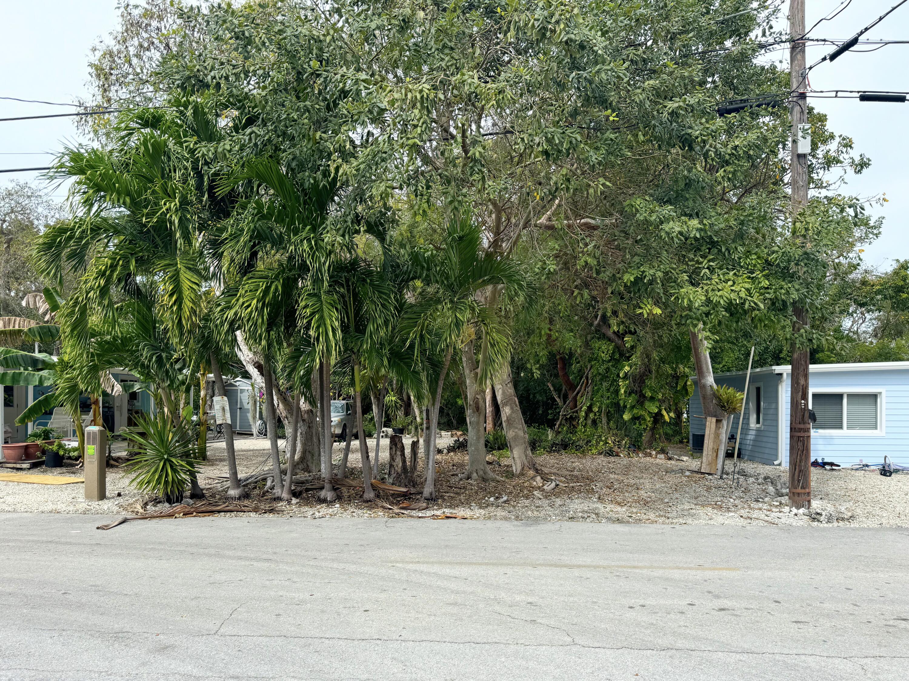 50 Oleander Drive Property Photo 4