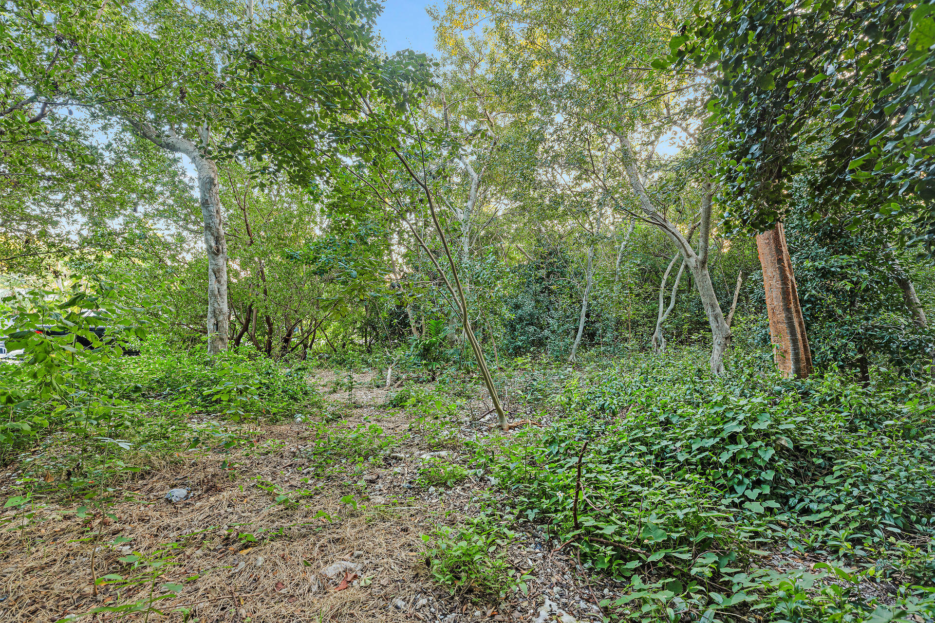 158 Coconut Row Property Photo 19
