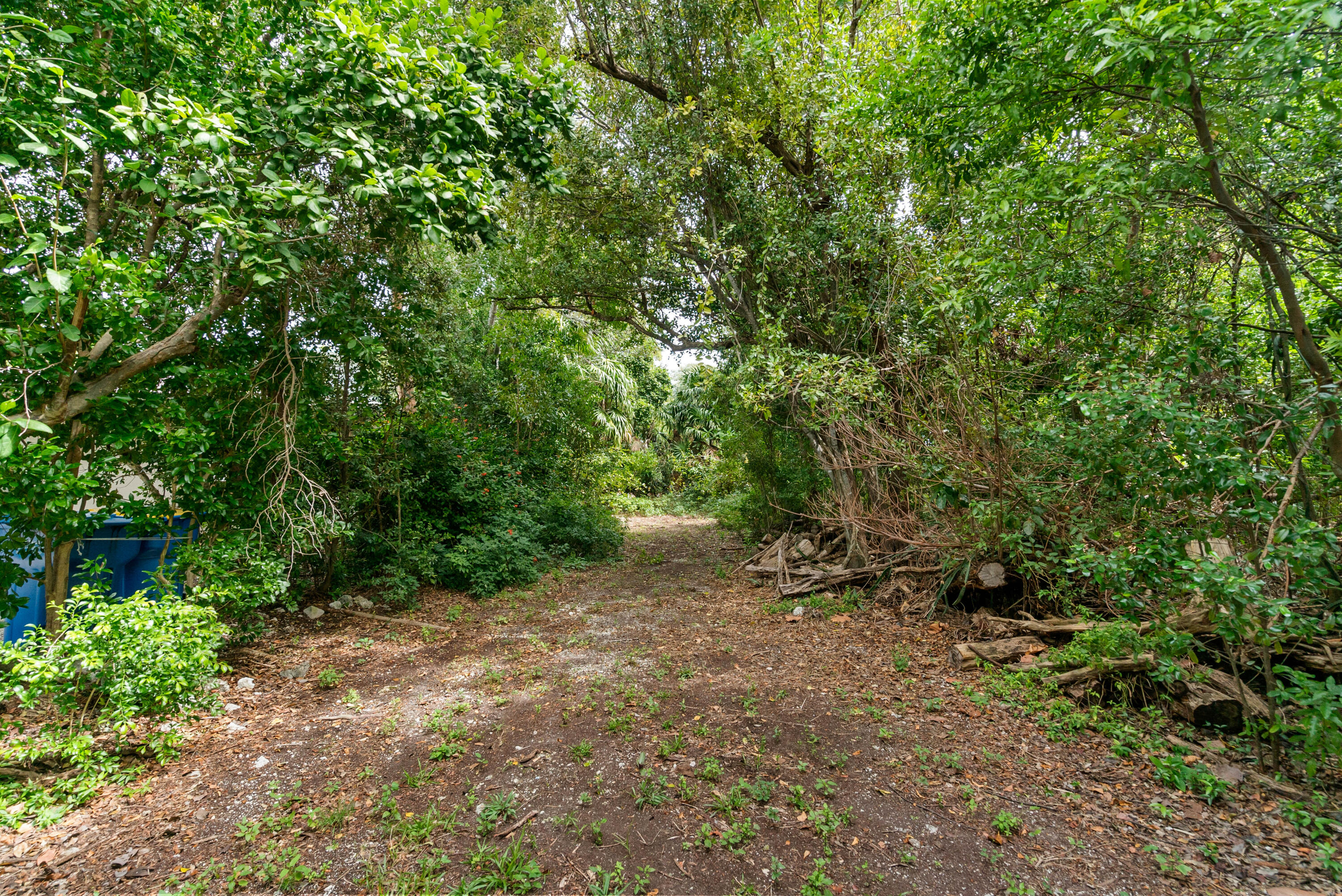 230 Apache Street Property Photo 44