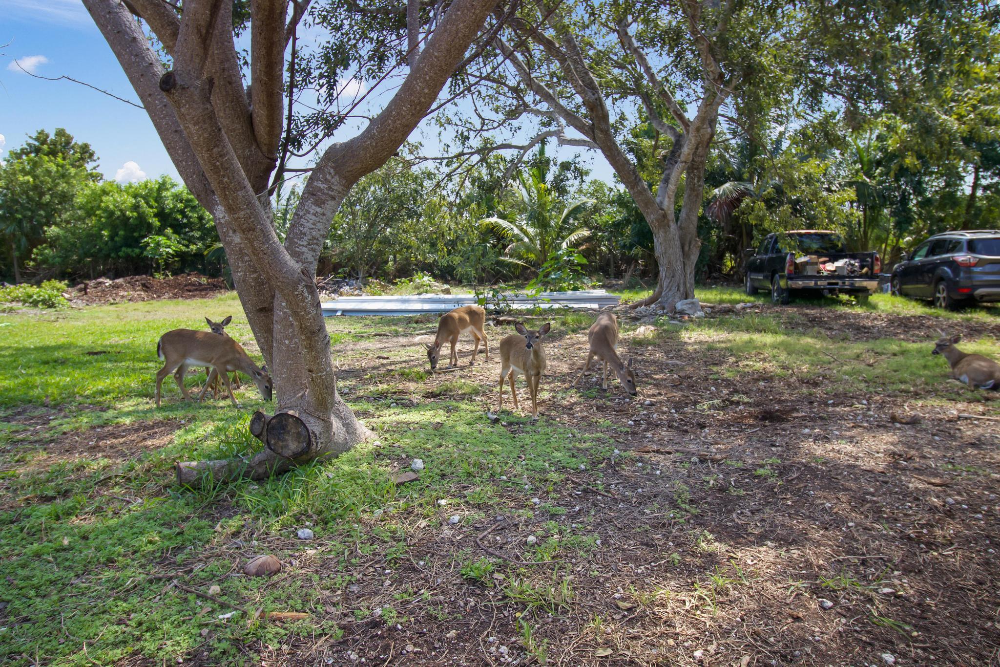 30620 18th Lane Property Photo 29