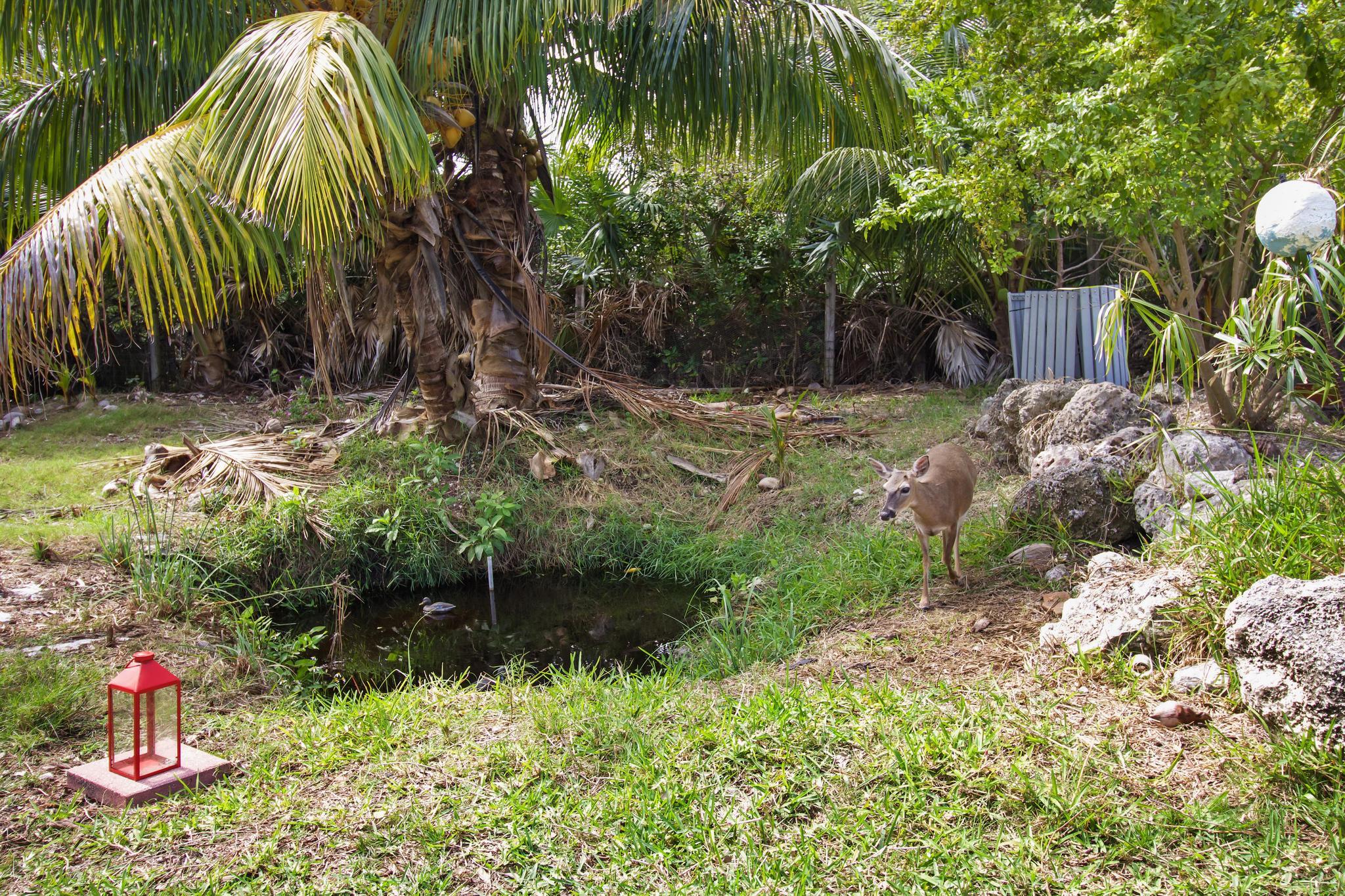 30620 18th Lane Property Photo 31