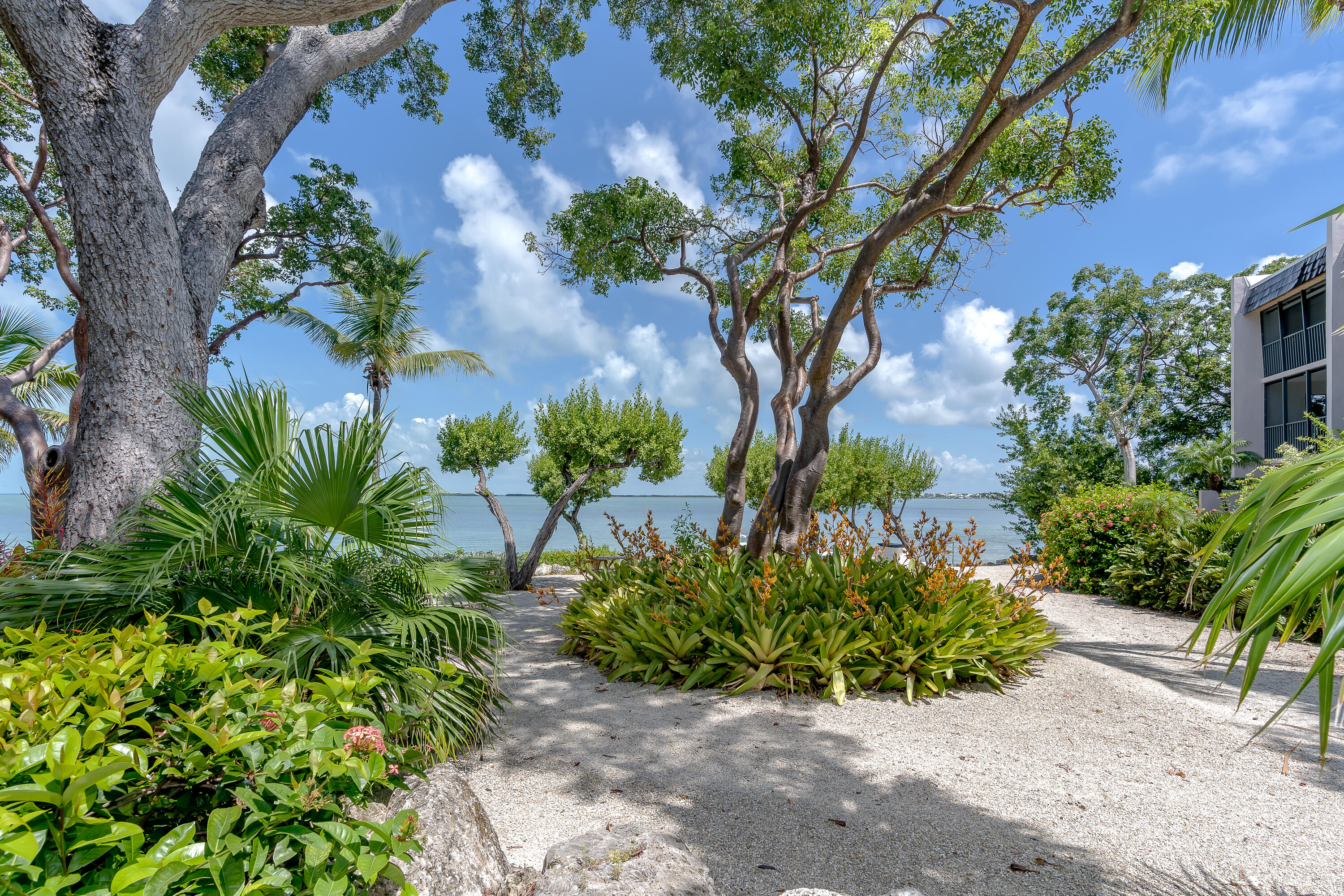 97652 Overseas Highway, C-12 Property Photo 19