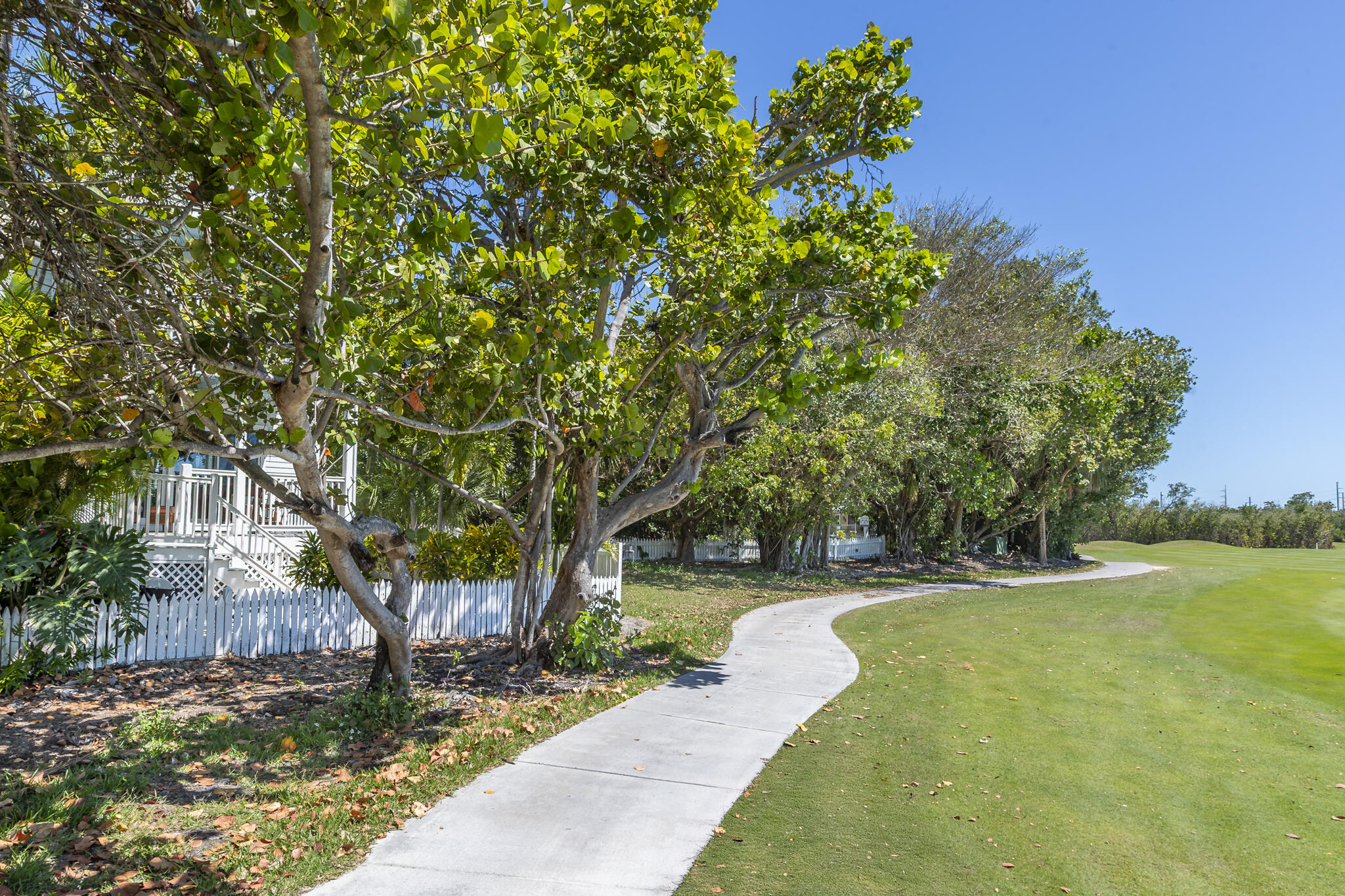 8 Whistling Duck Lane Property Photo 18