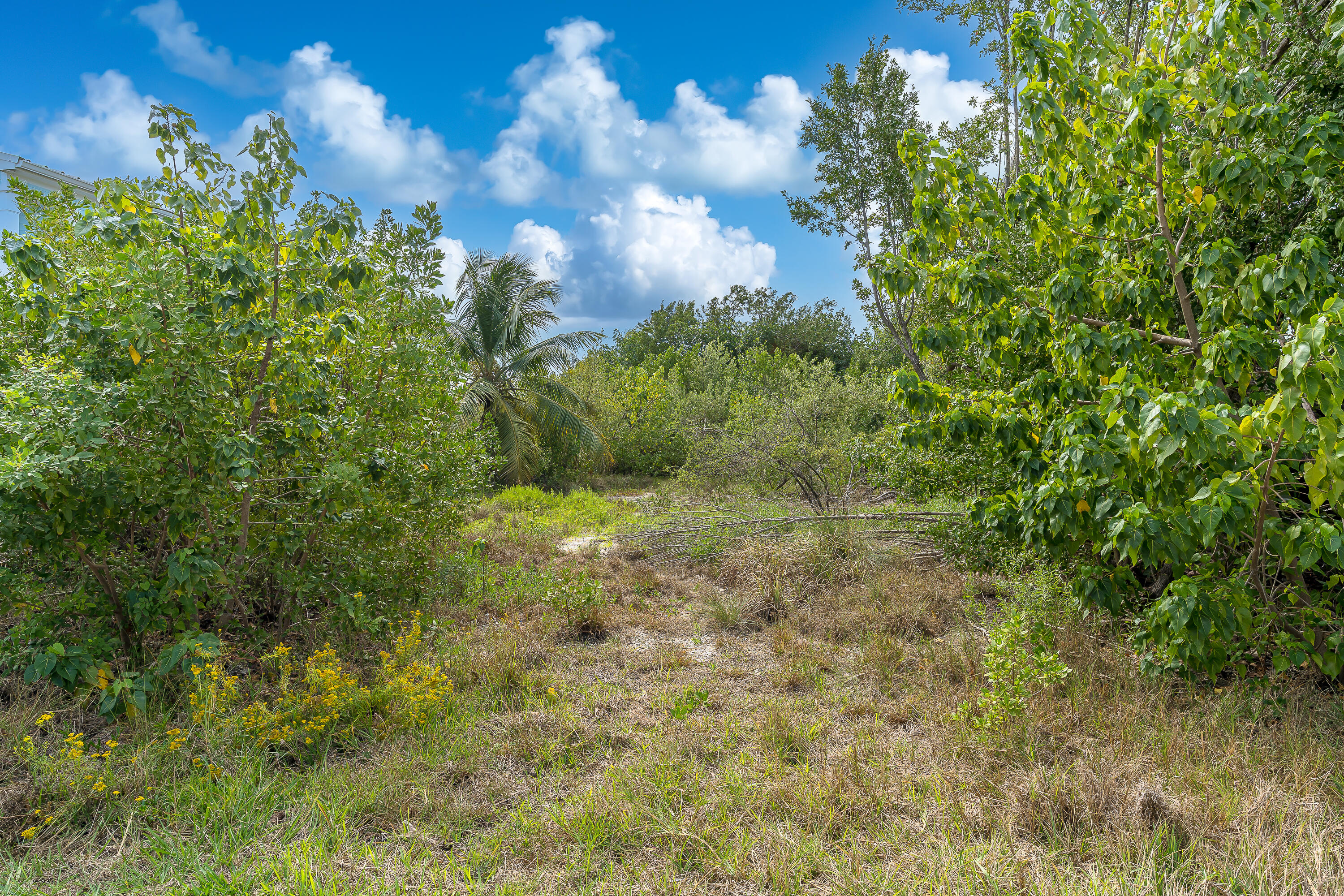 27378 Jamaica Lane Property Photo 7