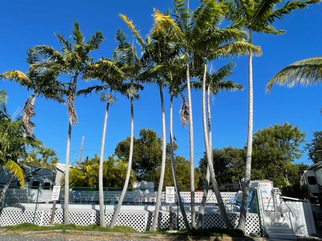29859 Overseas Highway, 23 Property Photo 8