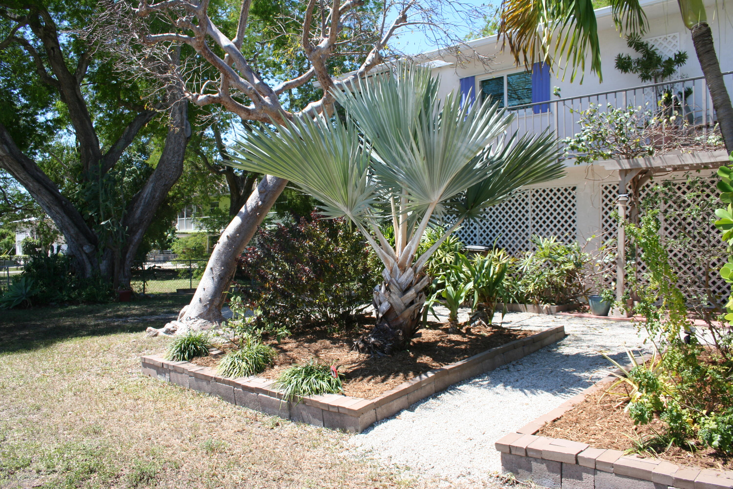 544 Plante Street Property Photo 23