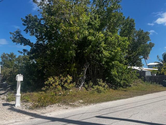 31145 Hibiscus Drive Property Photo