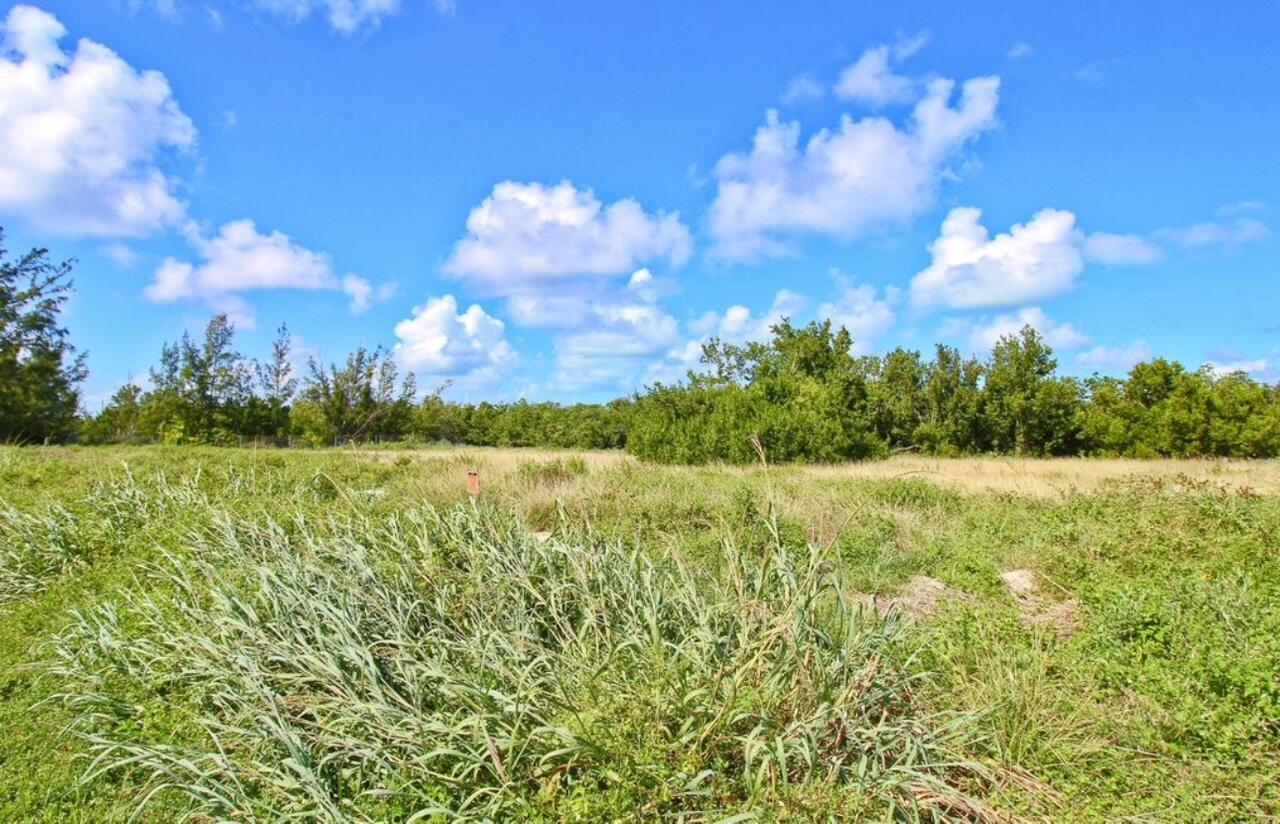 1700 Coco Plum Drive, N/a Property Photo 2