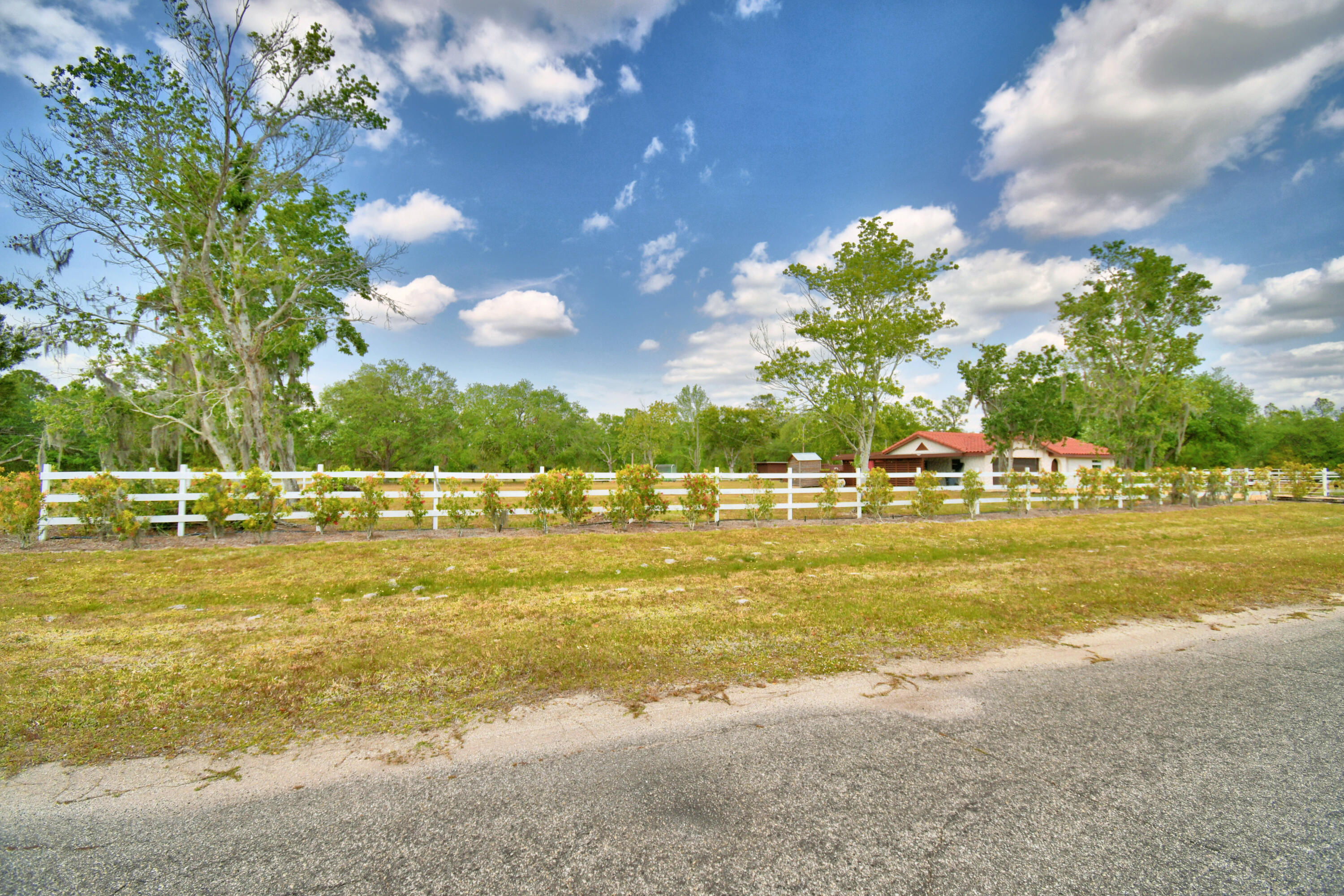 3450 Palm Avenue Property Photo 4