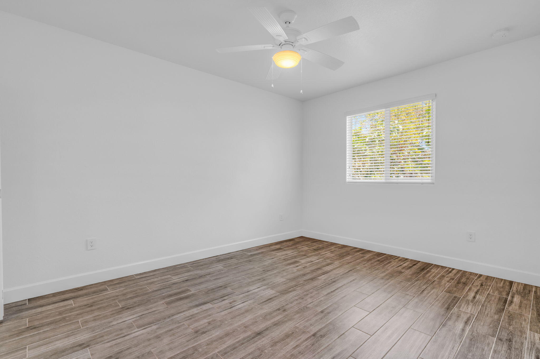 407 Collins Street Property Photo 21
