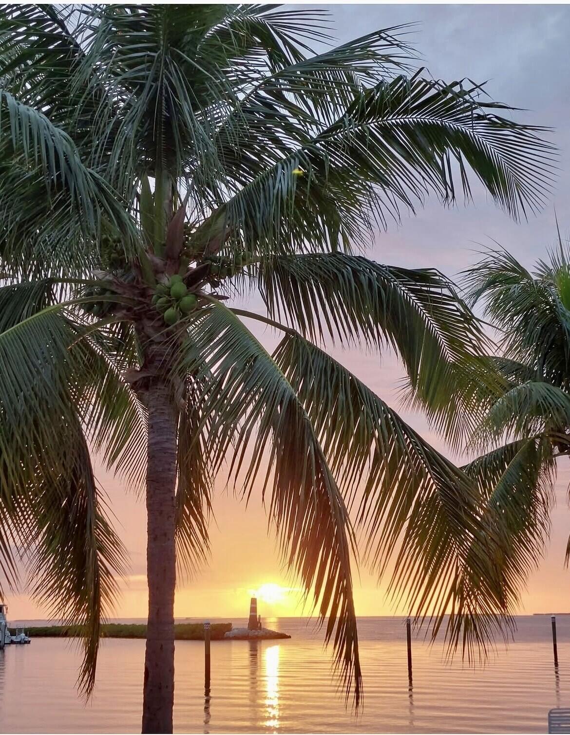 87200 Overseas Highway, H4 Property Photo 2