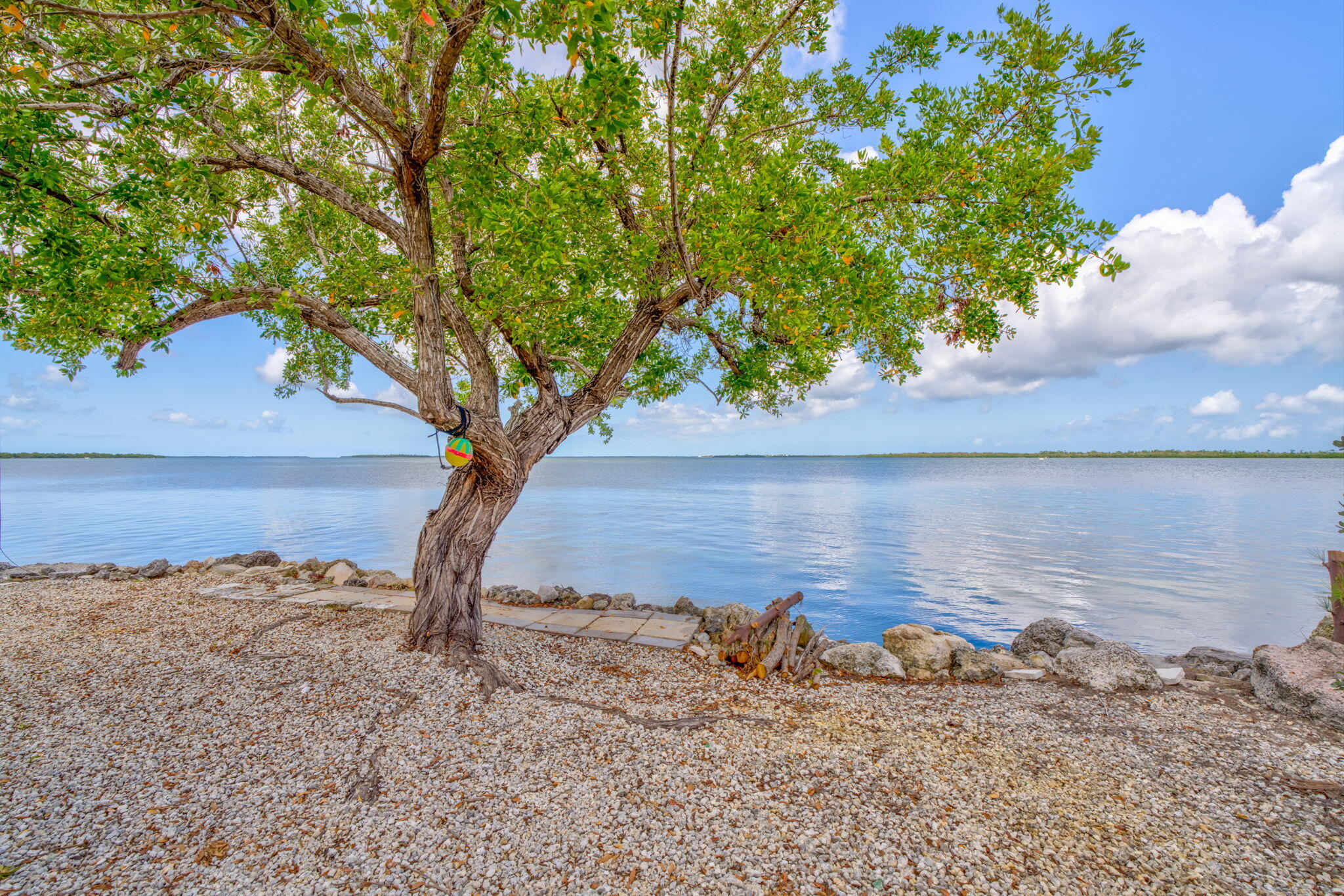 27941 Porgie Path Property Photo 6