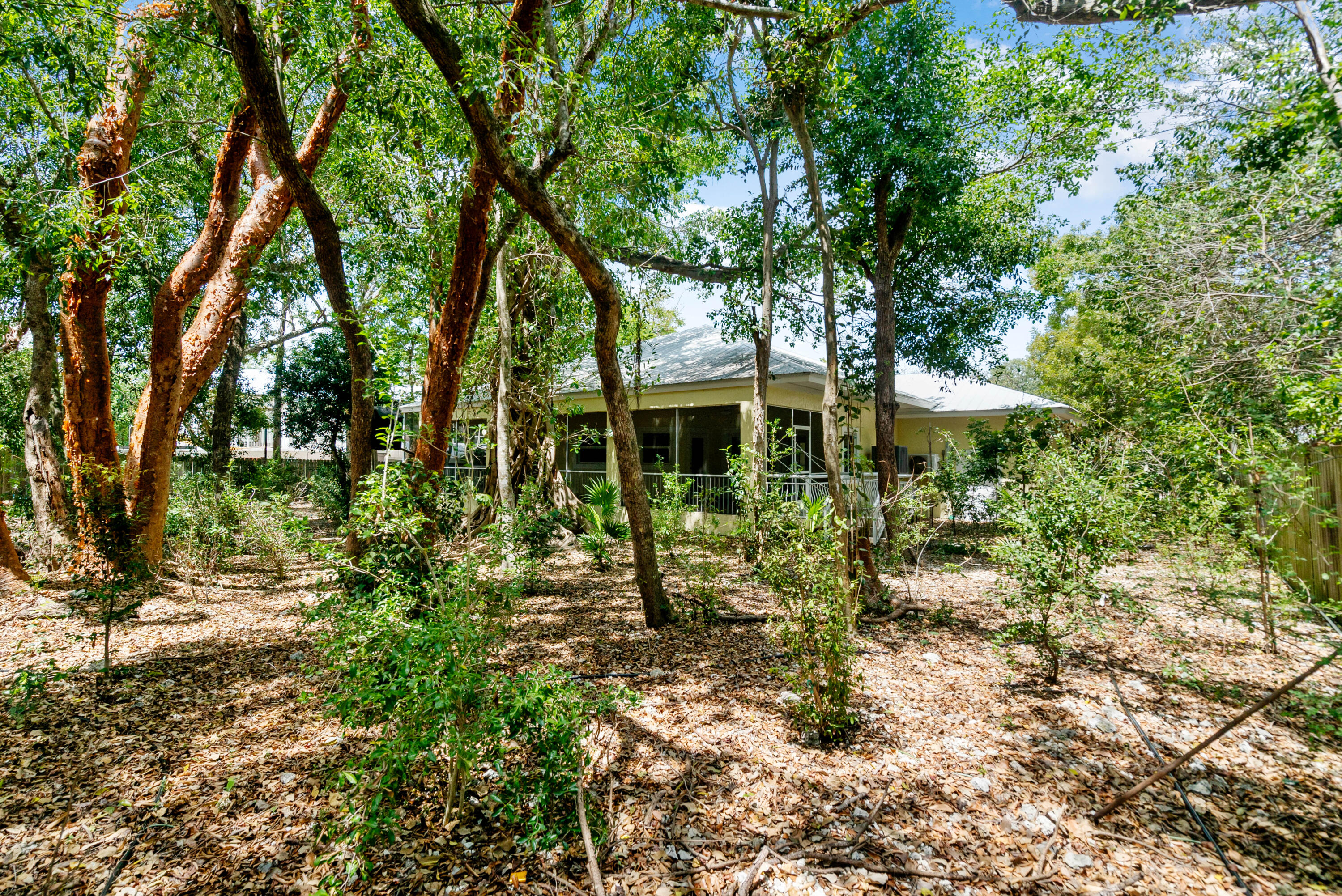17 Bonita Avenue Property Photo 31