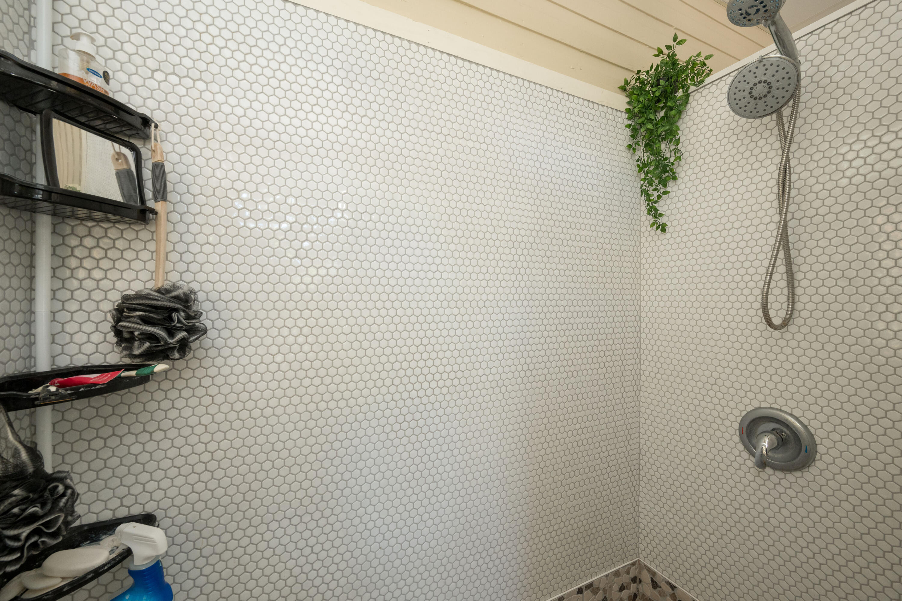 602 Southard Street Property Photo 10