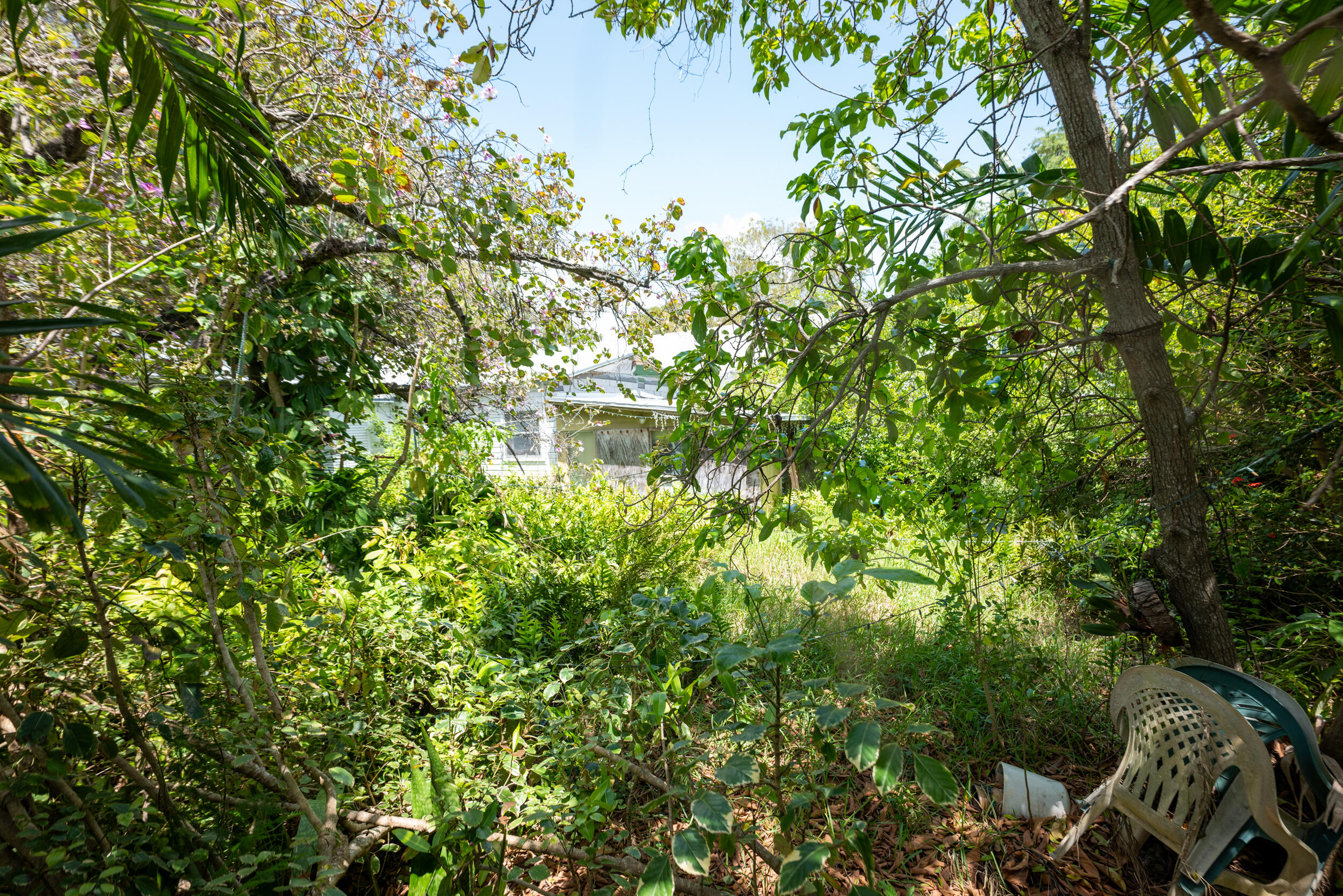 314 Southard Street Property Photo 7