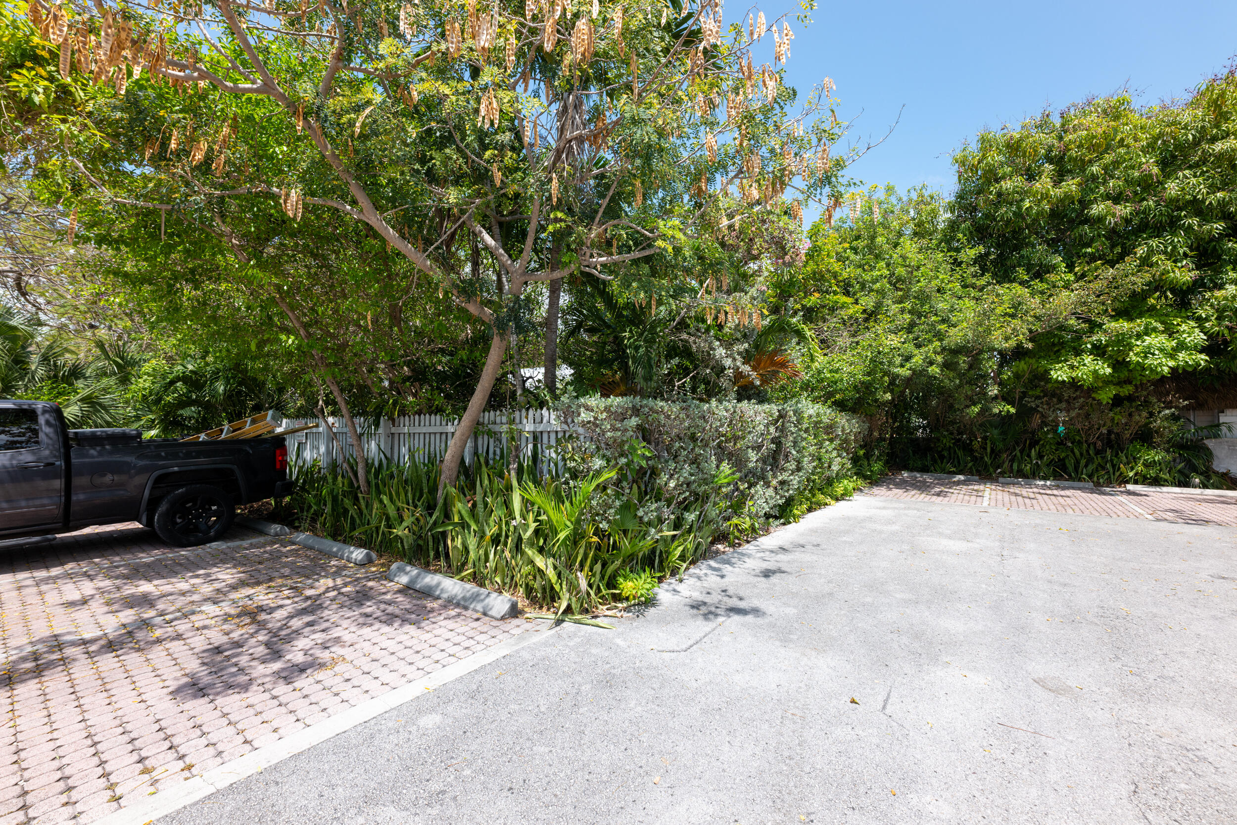 314 Southard Street Property Photo 9