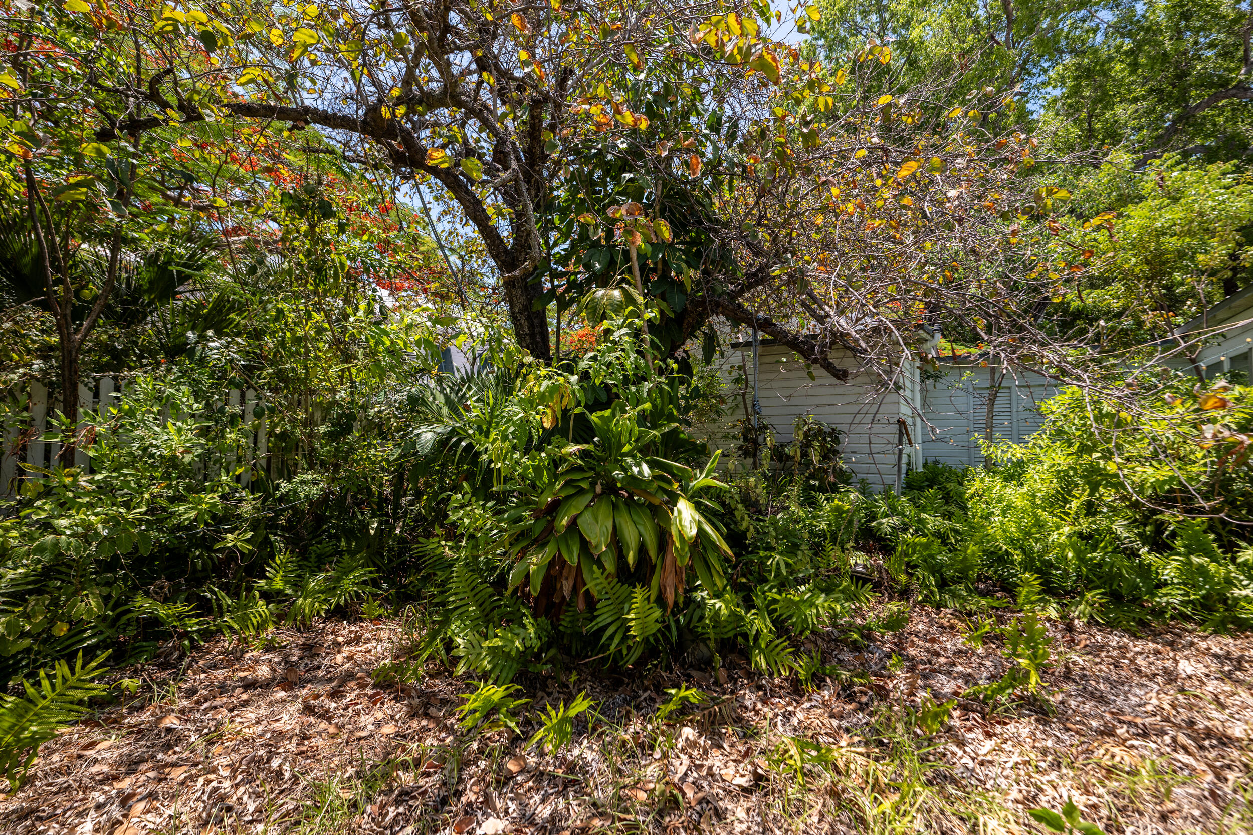 314 Southard Street Property Photo 9