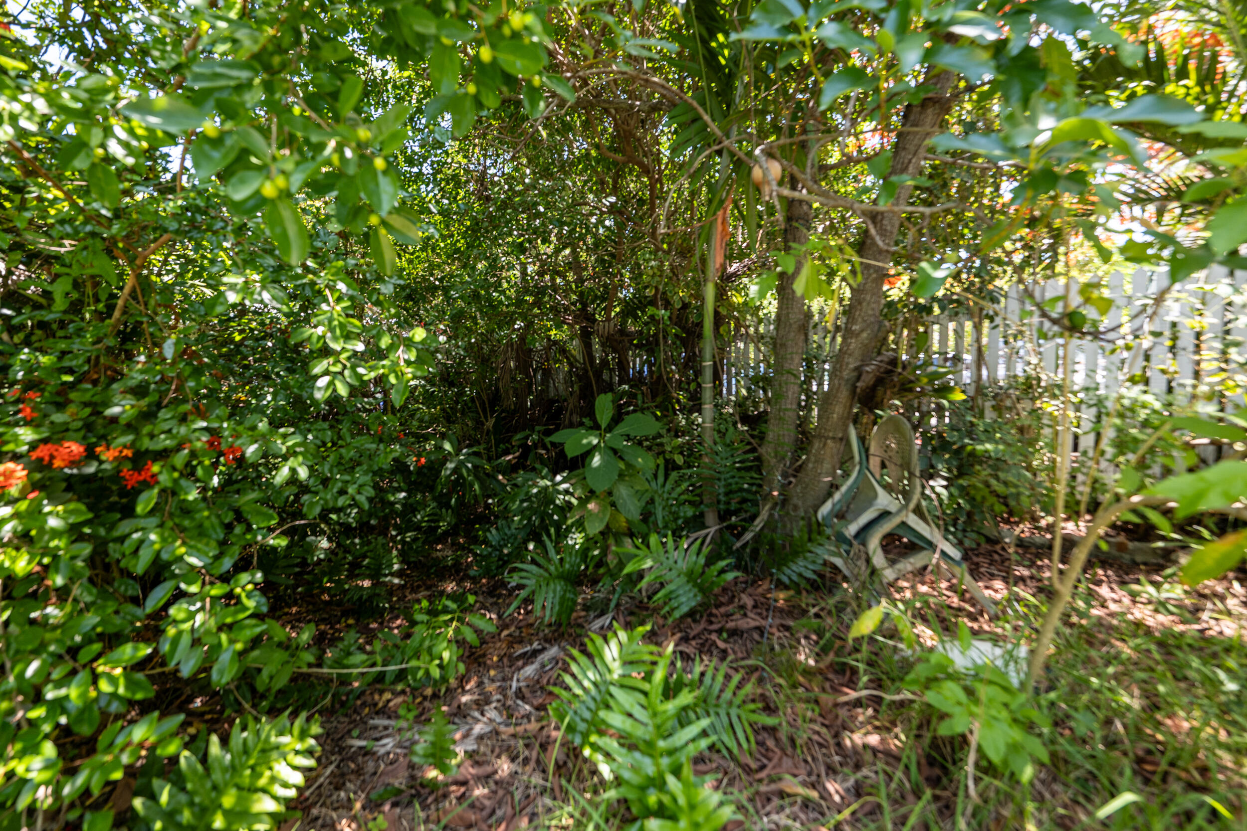 314 Southard Street Property Photo 18