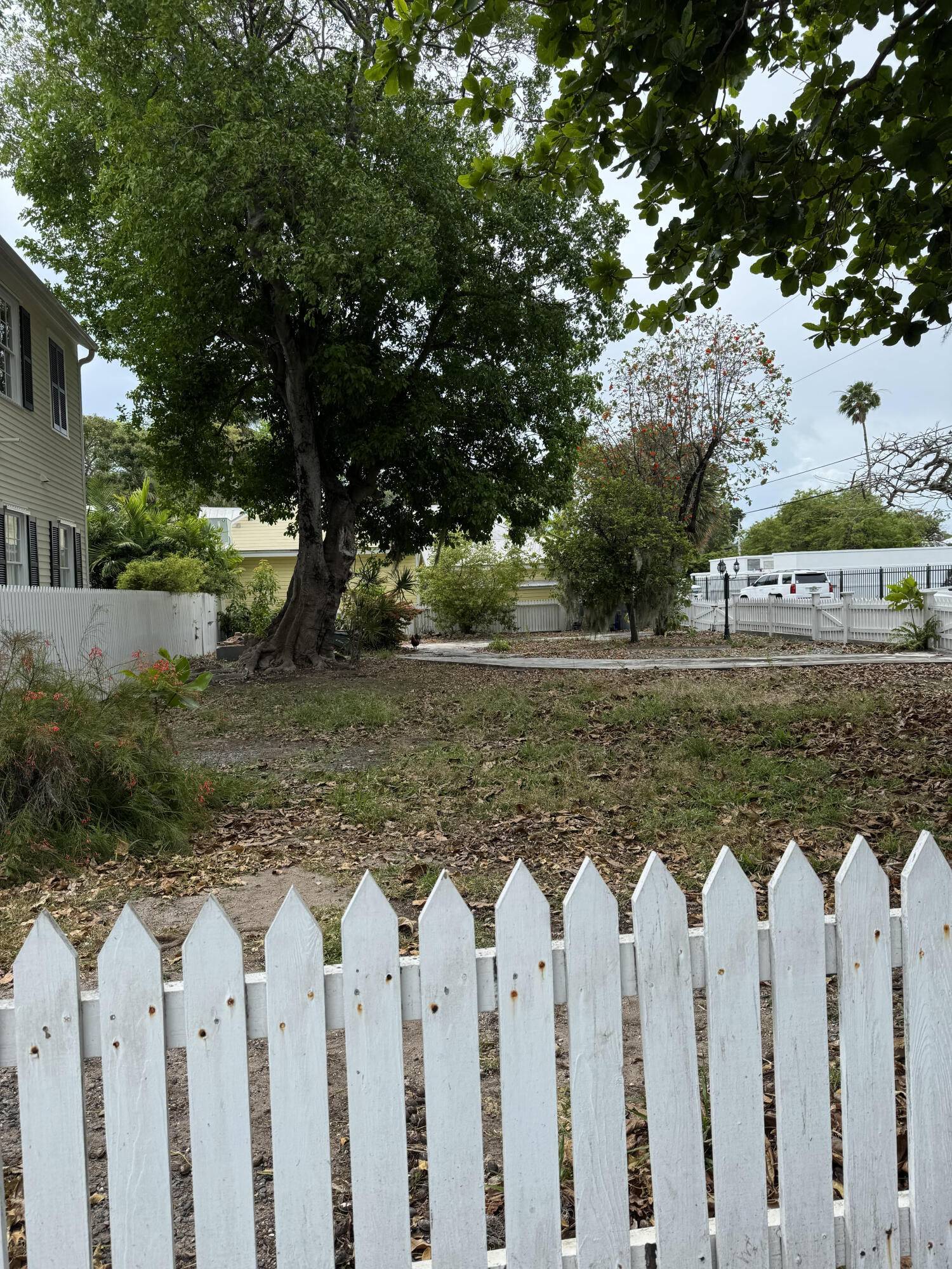 1102 Petronia Street Property Photo 3
