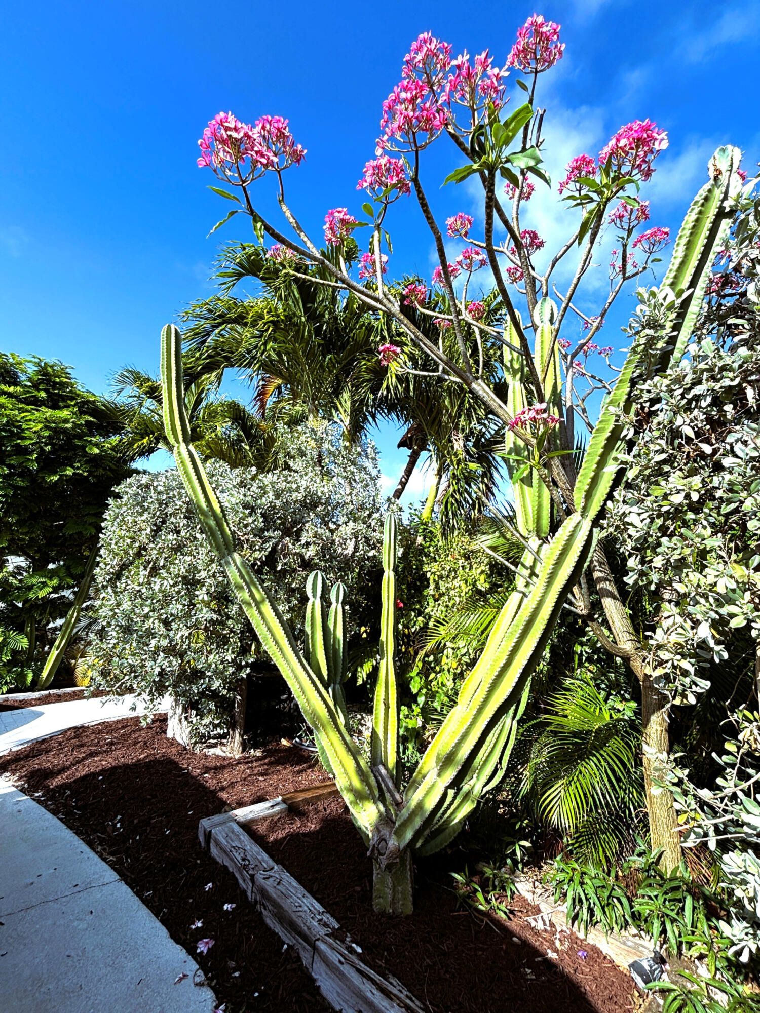 890 79th Street Ocean Property Photo 30