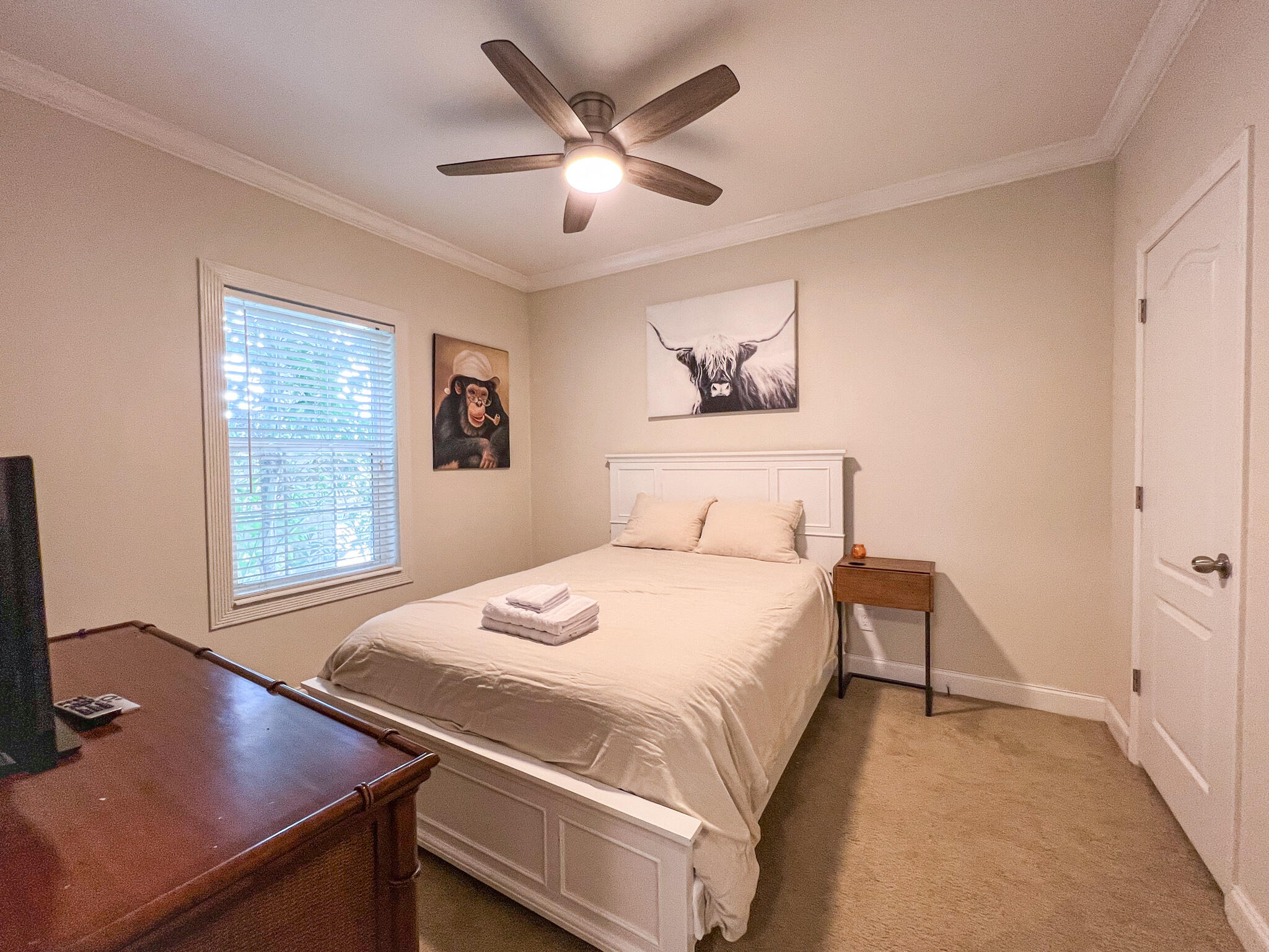 37 Palm Drive Property Photo 25