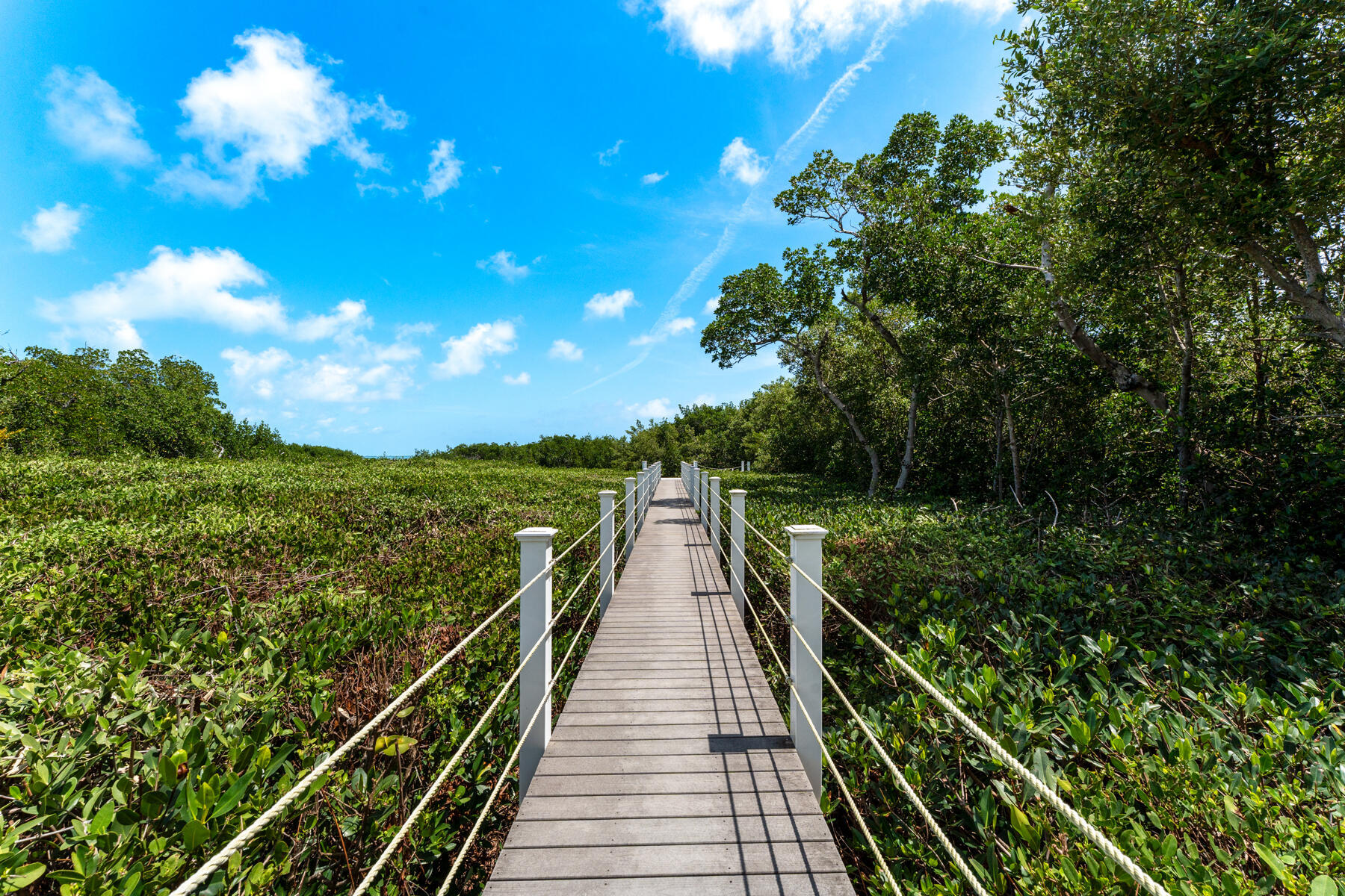 205 Stirrup Key Boulevard Property Photo 53