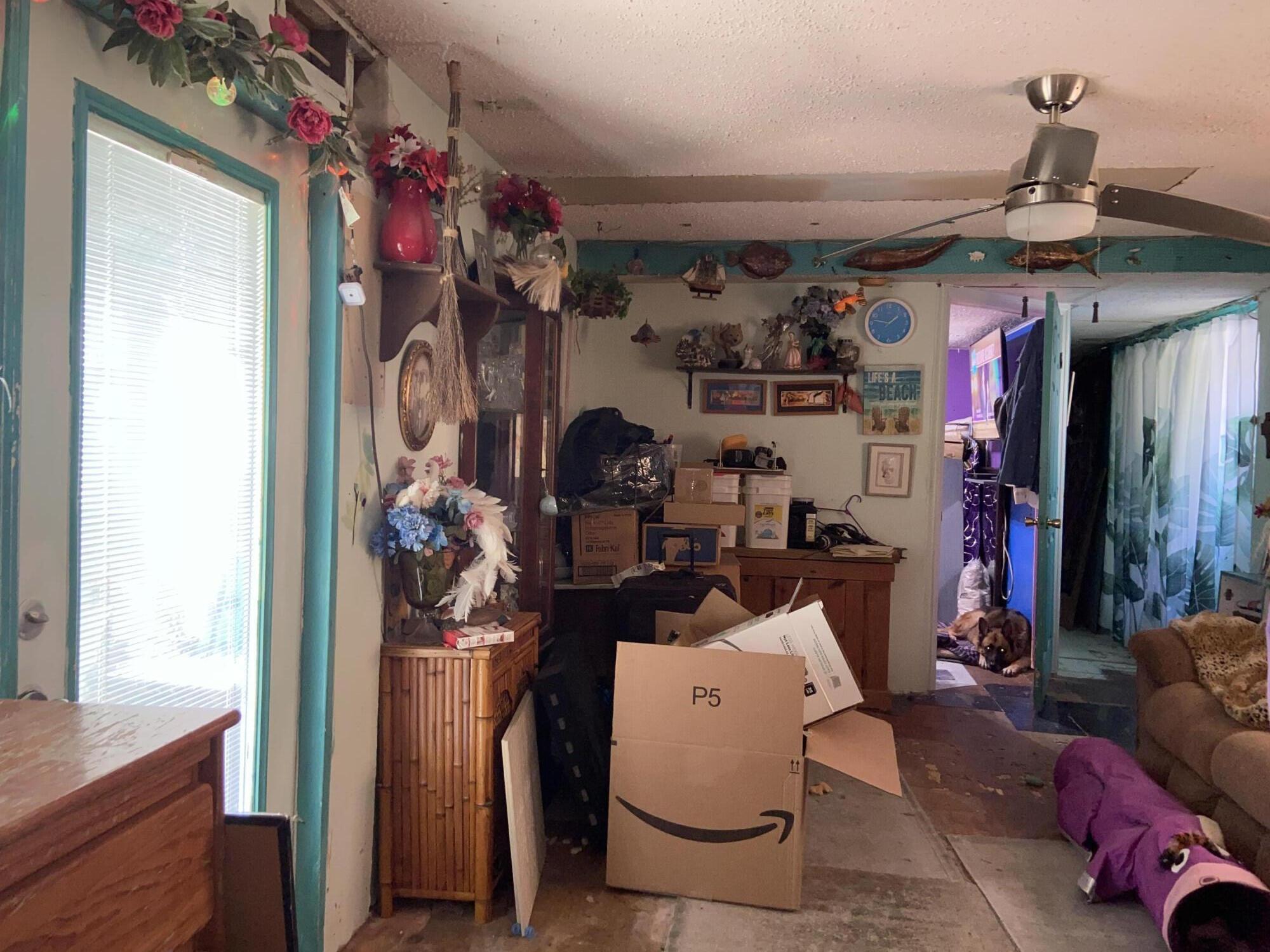 56 Palm Drive Property Photo 5
