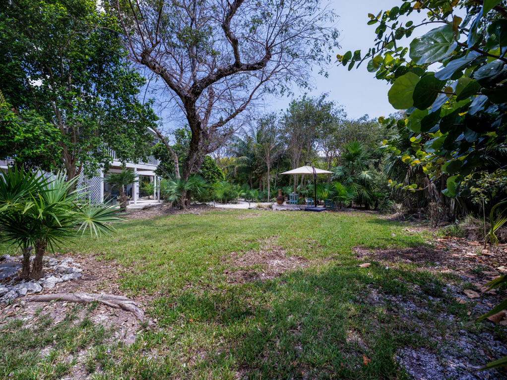 29156 Tulip Lane Property Photo 35