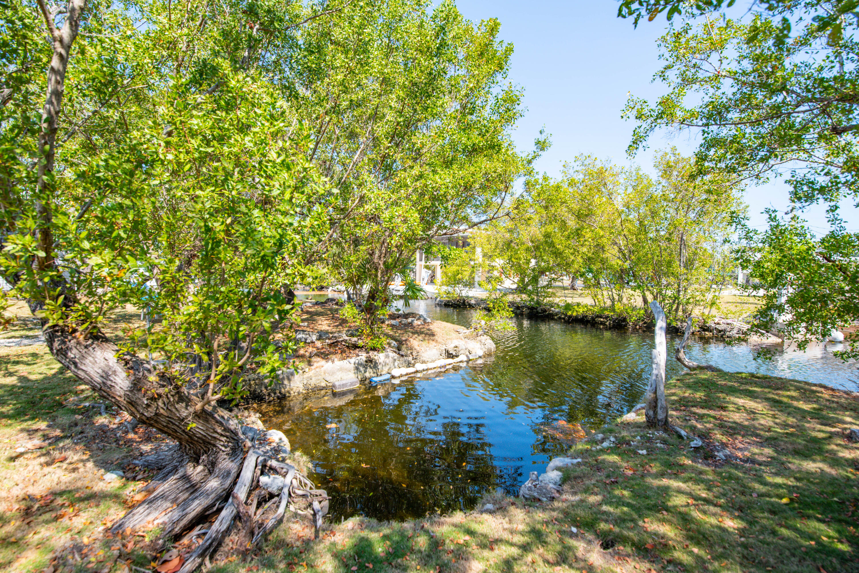 30881 Witters Lane Property Photo 20