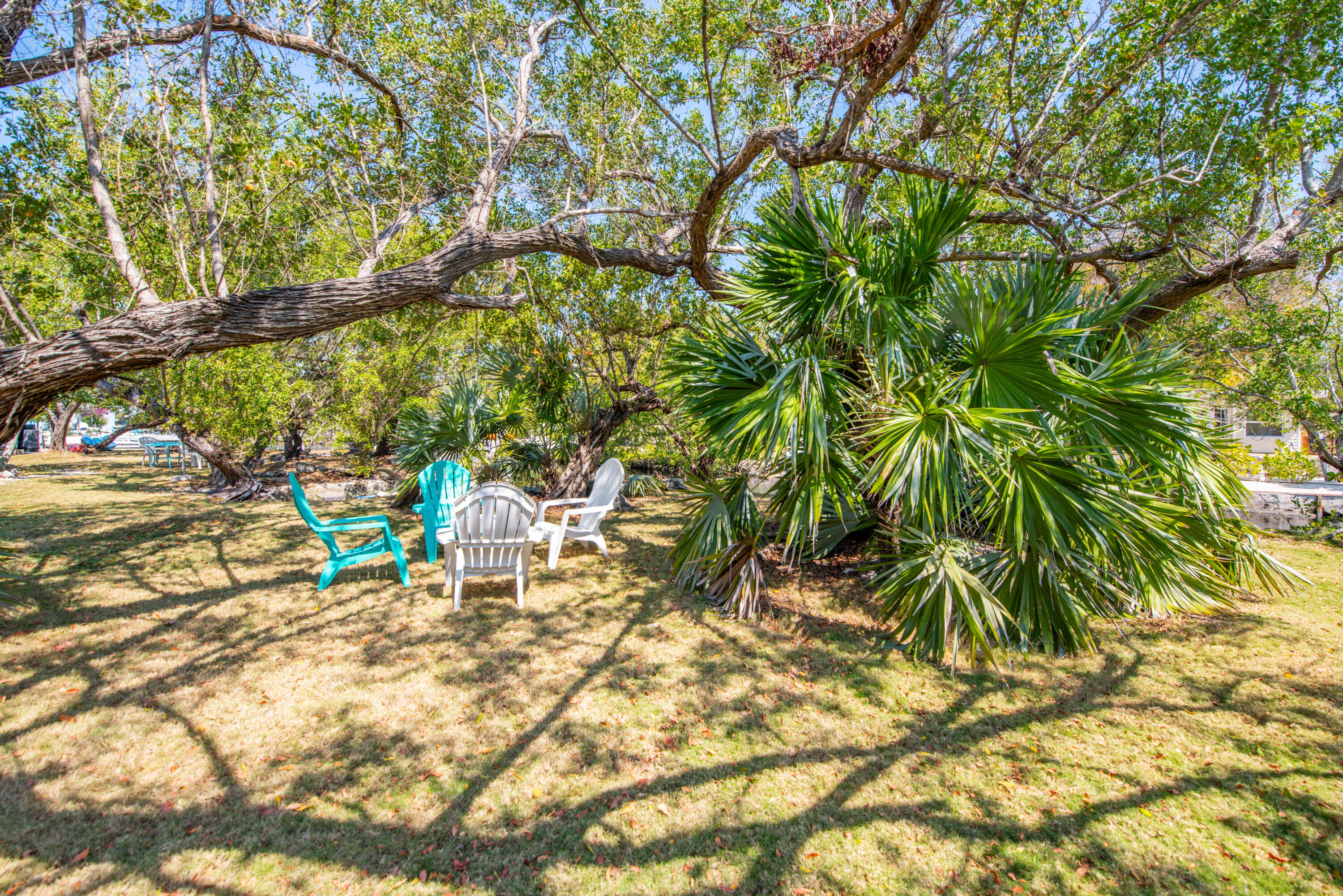 30881 Witters Lane Property Photo 30