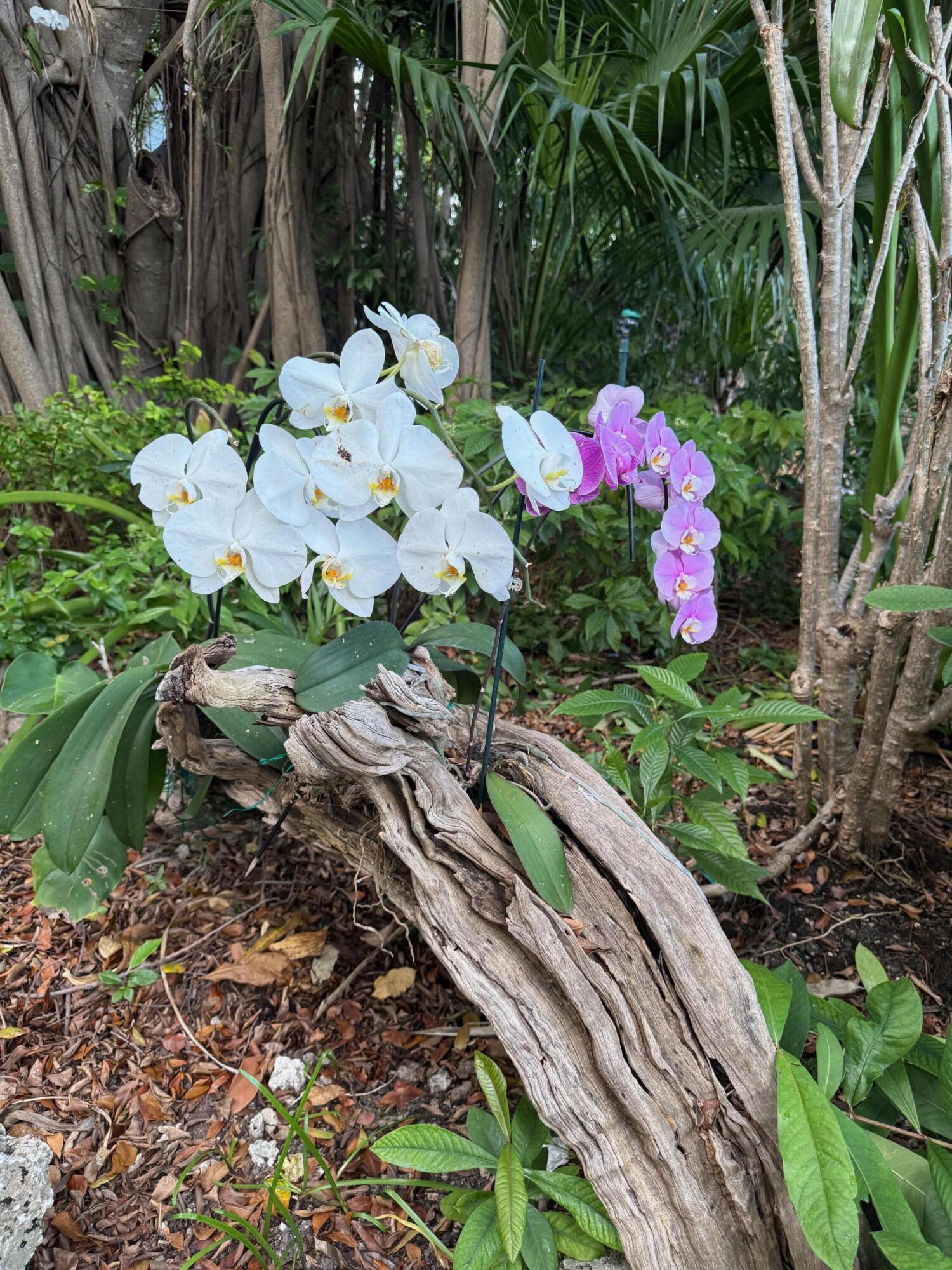 97652 Overseas Highway, S5 Property Photo 29
