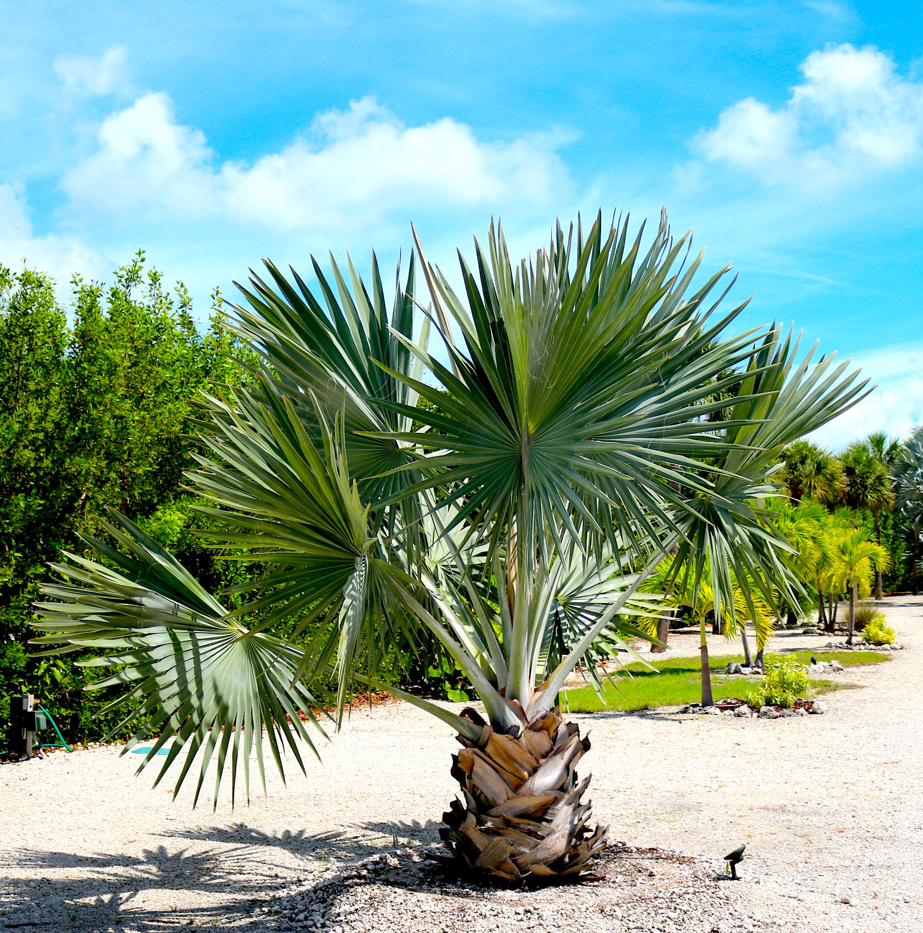2950 Overseas Highway, 50 Property Photo 43