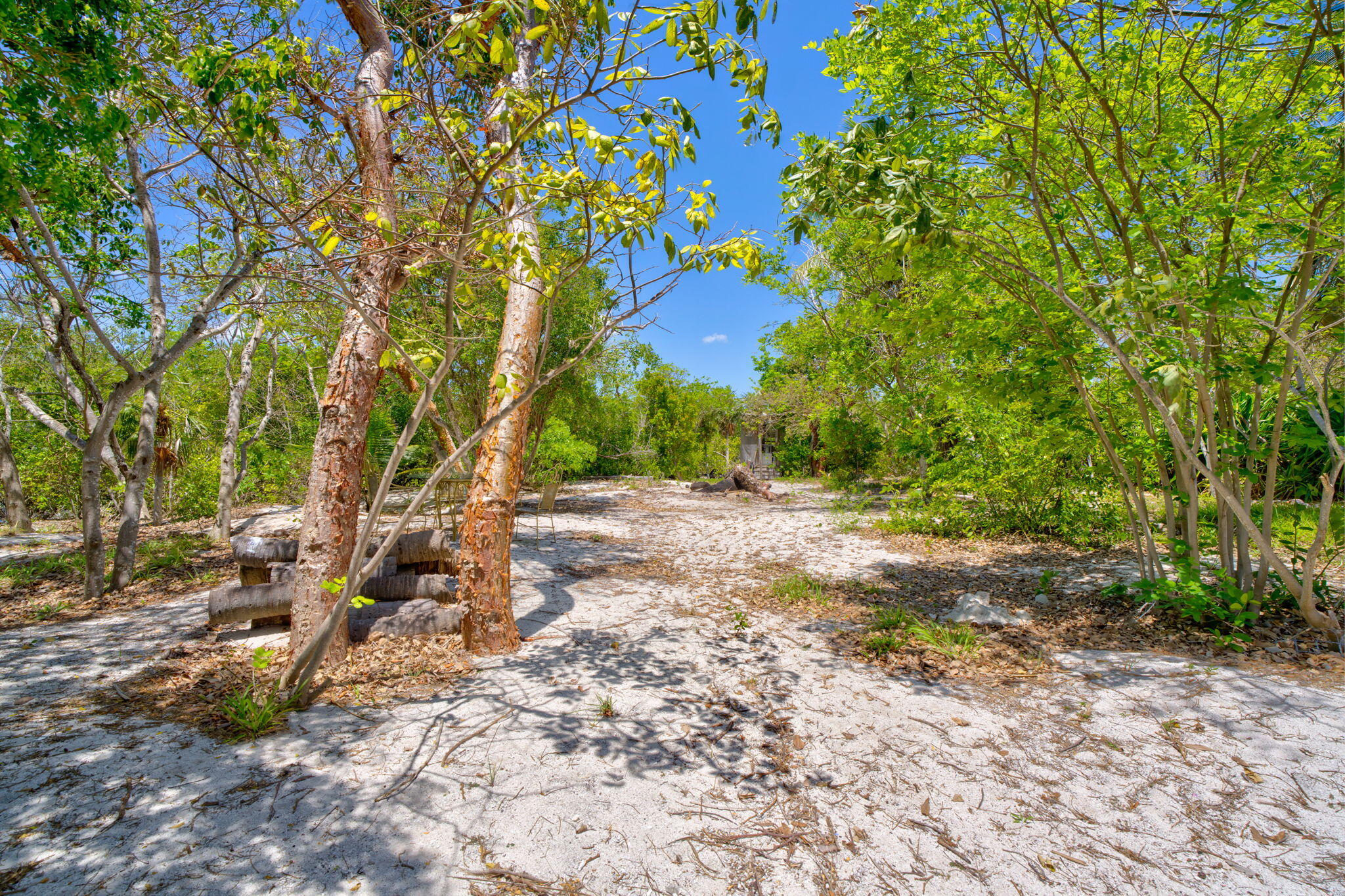 10 W Cook Property Photo 32