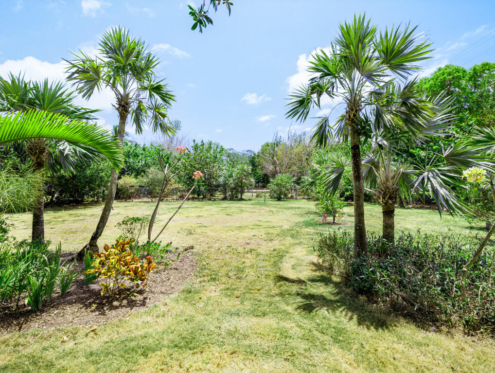 30416 Coconut Highway Property Photo 31