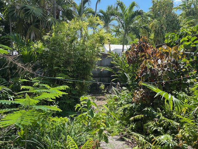 522 William Street Property Photo 7