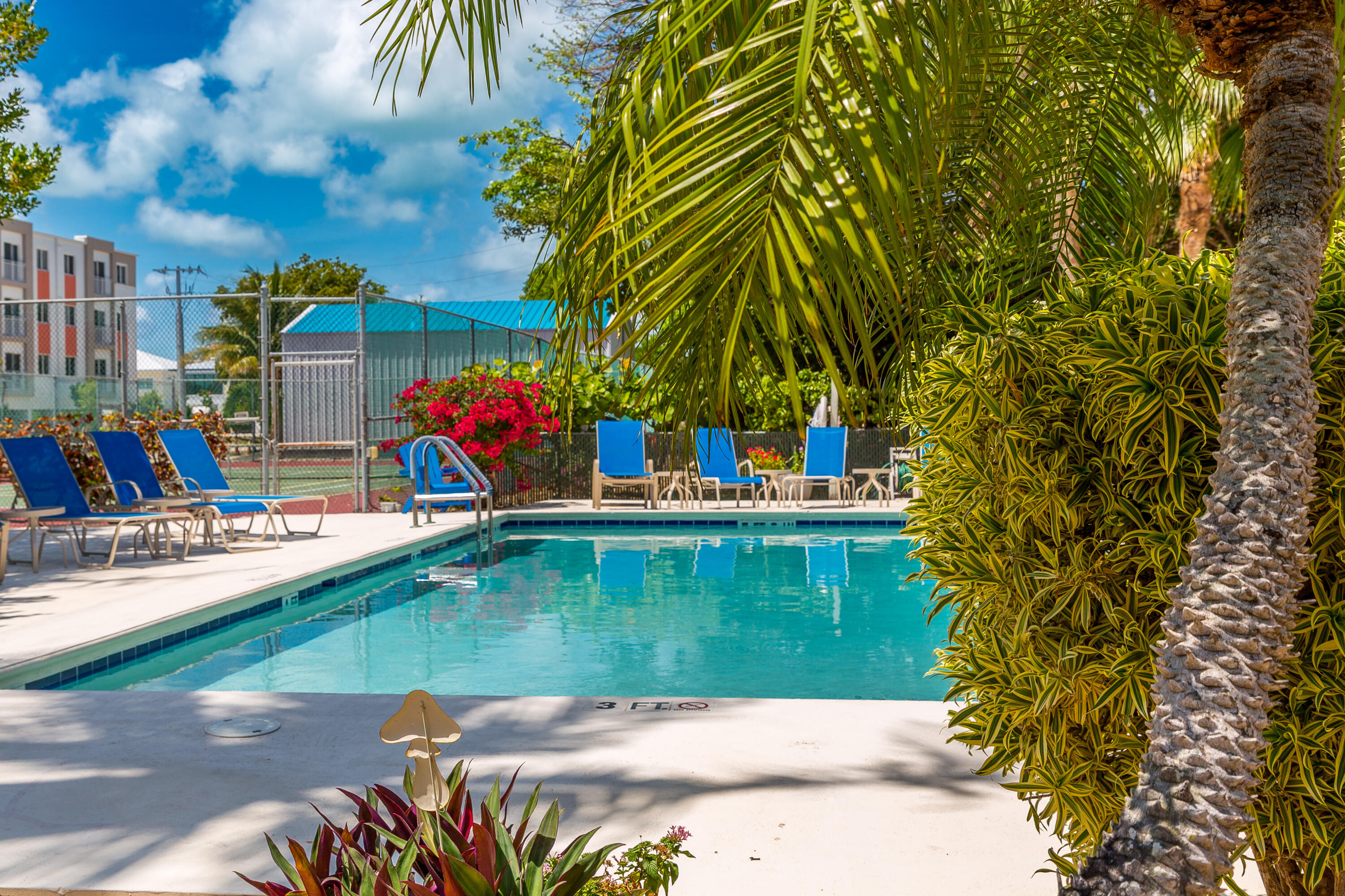 95 Coco Plum Drive, 5d Property Photo 24