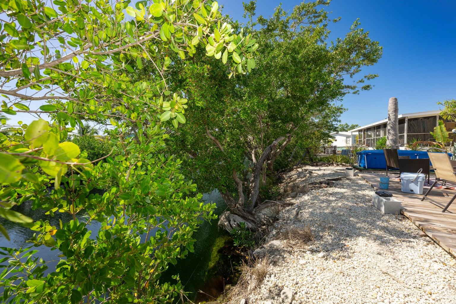 27942 Snapper Lane Property Photo 6