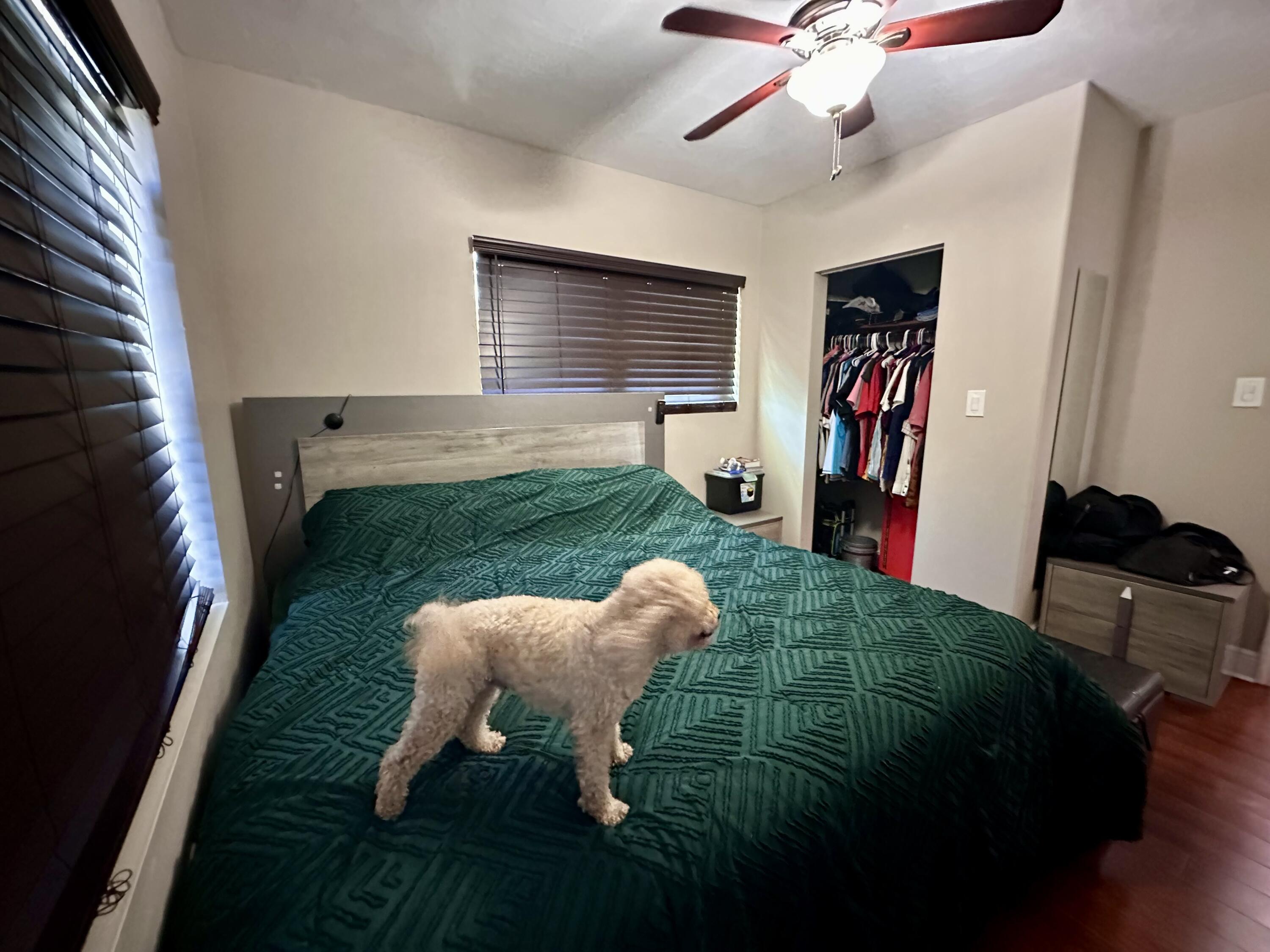 397 Balido Street Property Photo 10