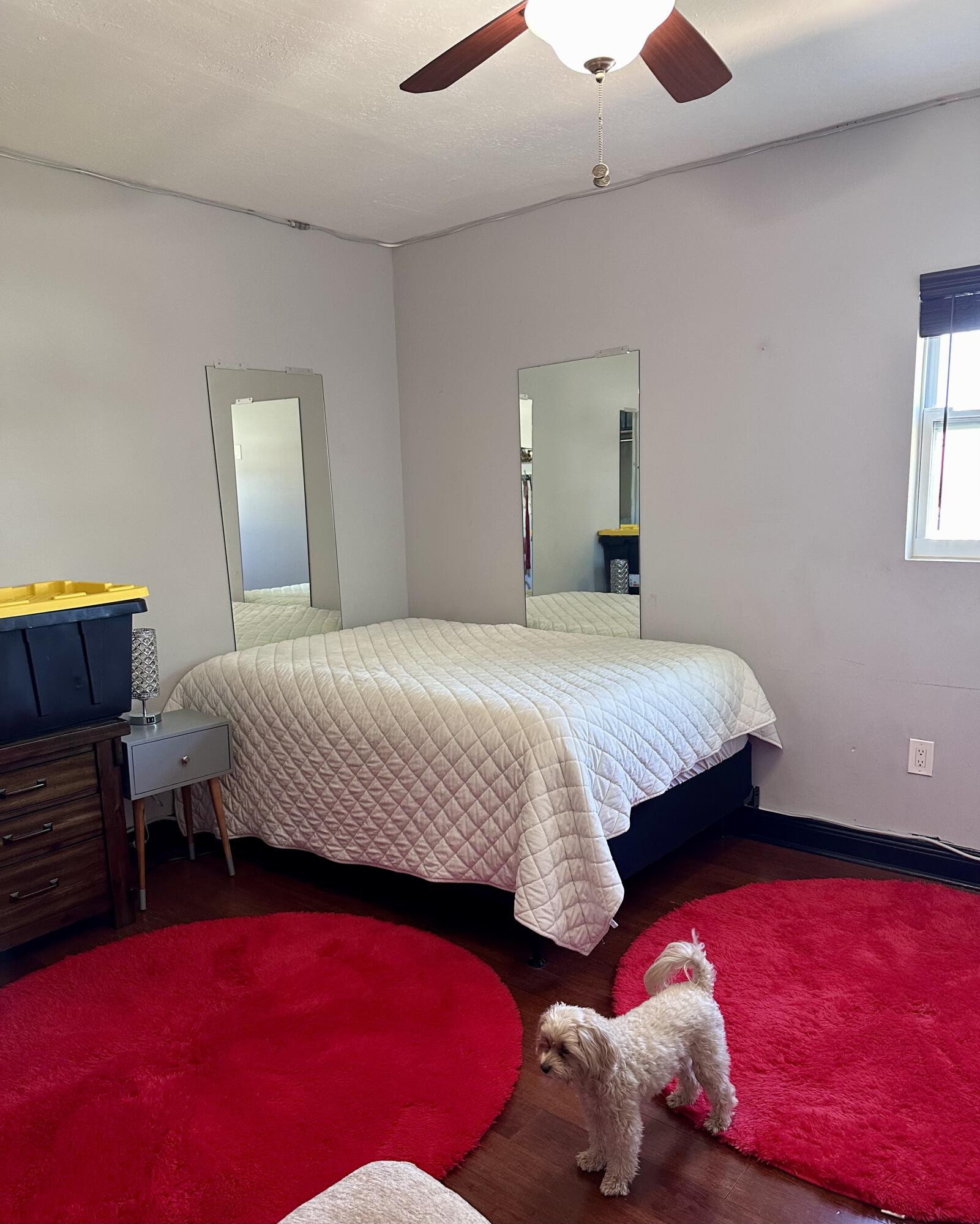 397 Balido Street Property Photo 14