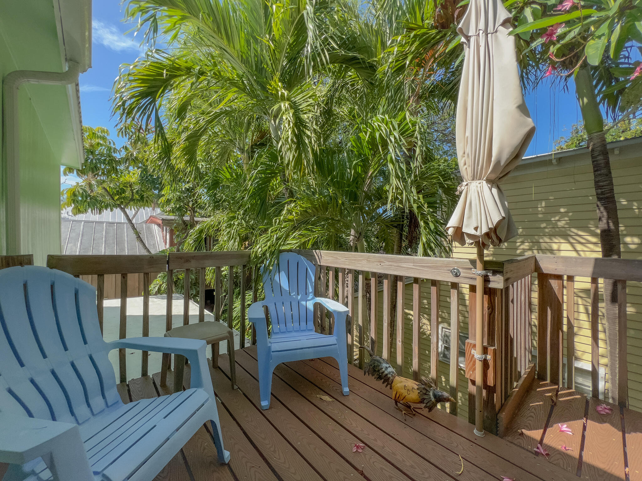 846 Olivia Street Property Photo 7