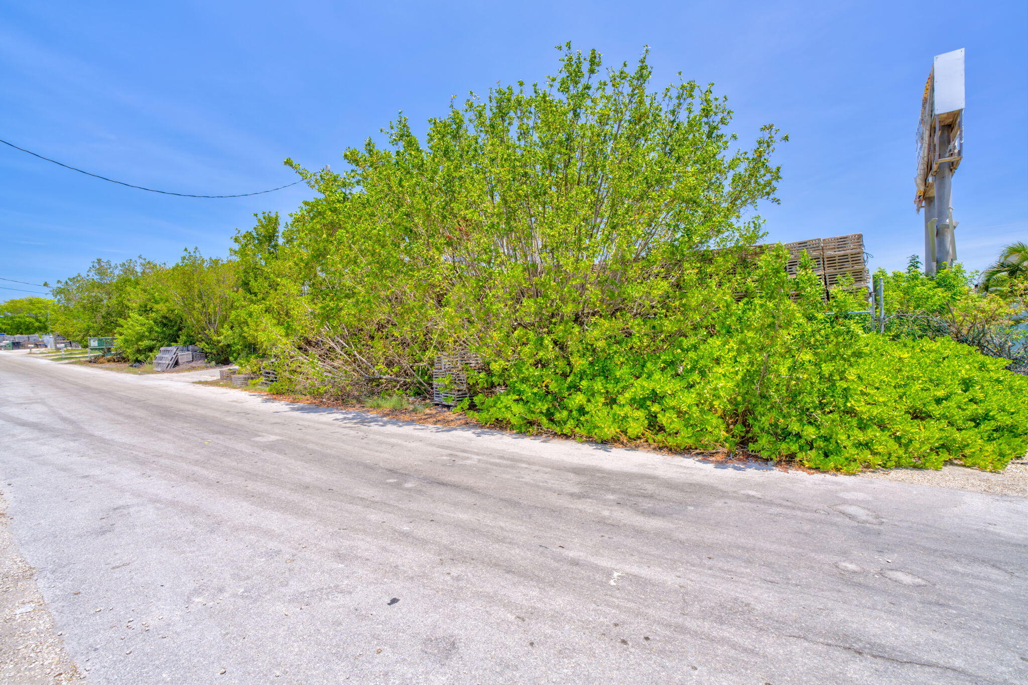 24111 Overseas Highway Property Photo 3