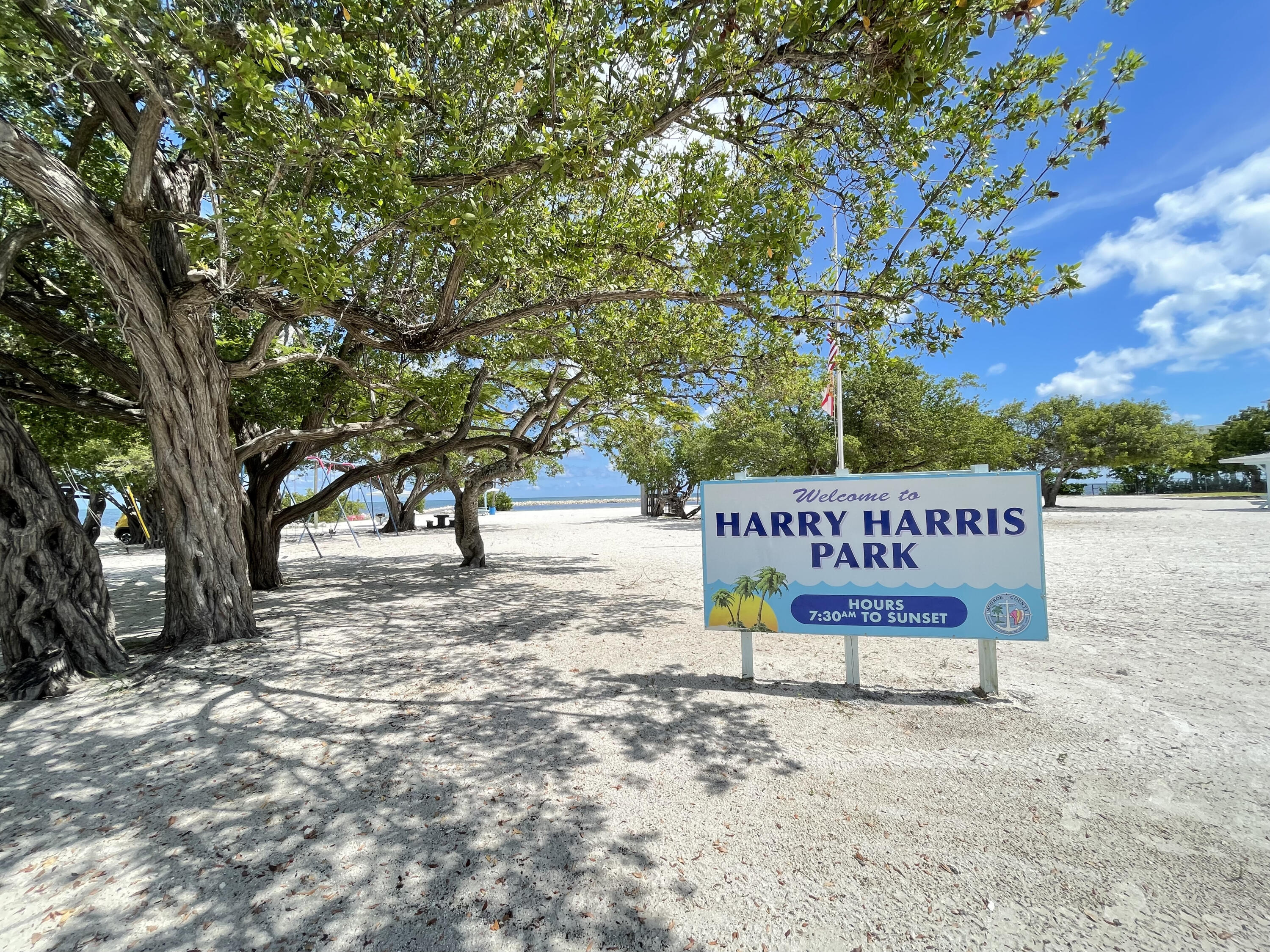 118 Harry Harris Drive Property Photo 39