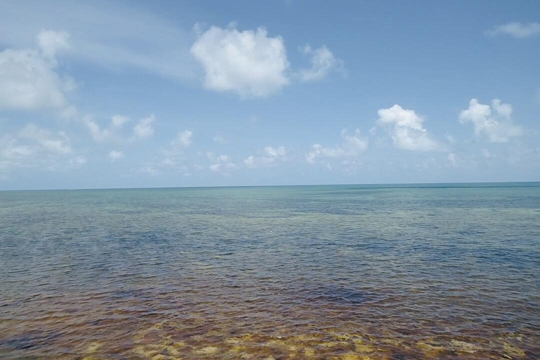 1w & 2w Cooks Island Property Photo 9