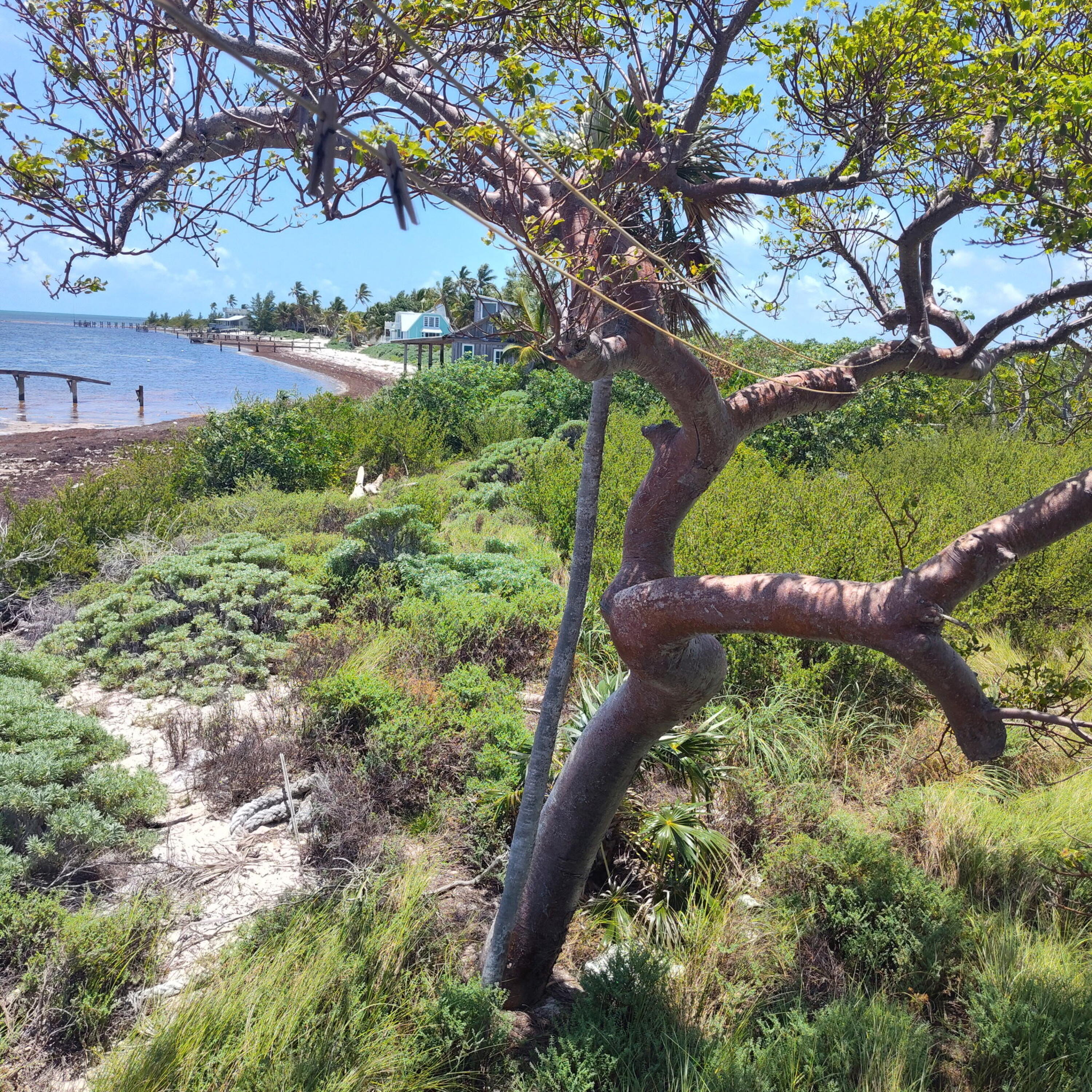 1w & 2w Cooks Island Property Photo 11