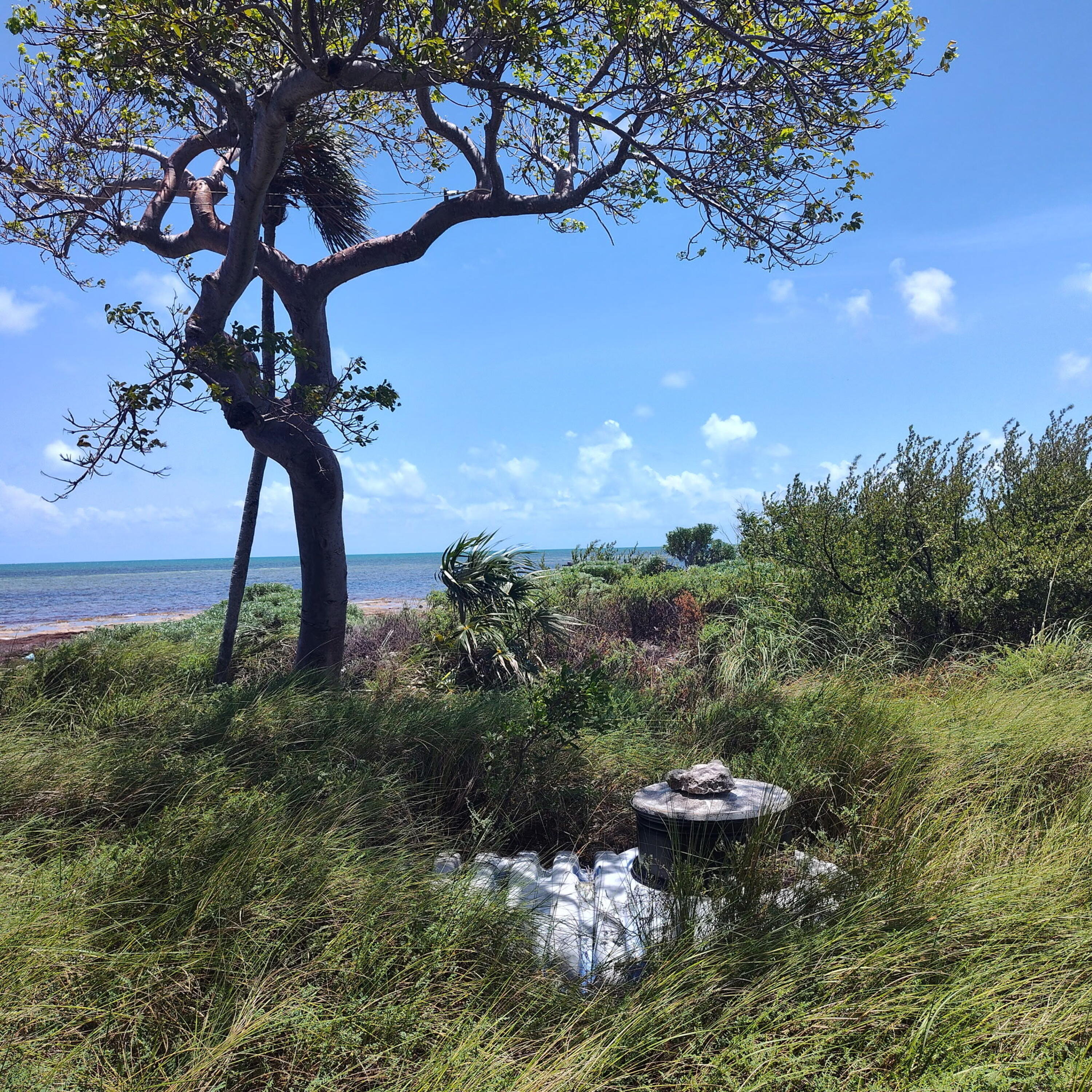 1w & 2w Cooks Island Property Photo 25