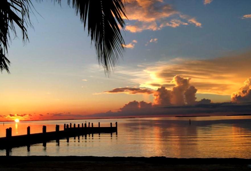 Lakeview And Poinciana Drive Property Photo 5