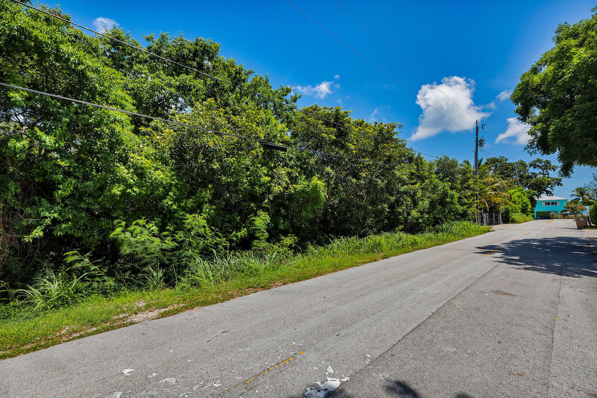 Lakeview And Poinciana Drive Property Photo 17